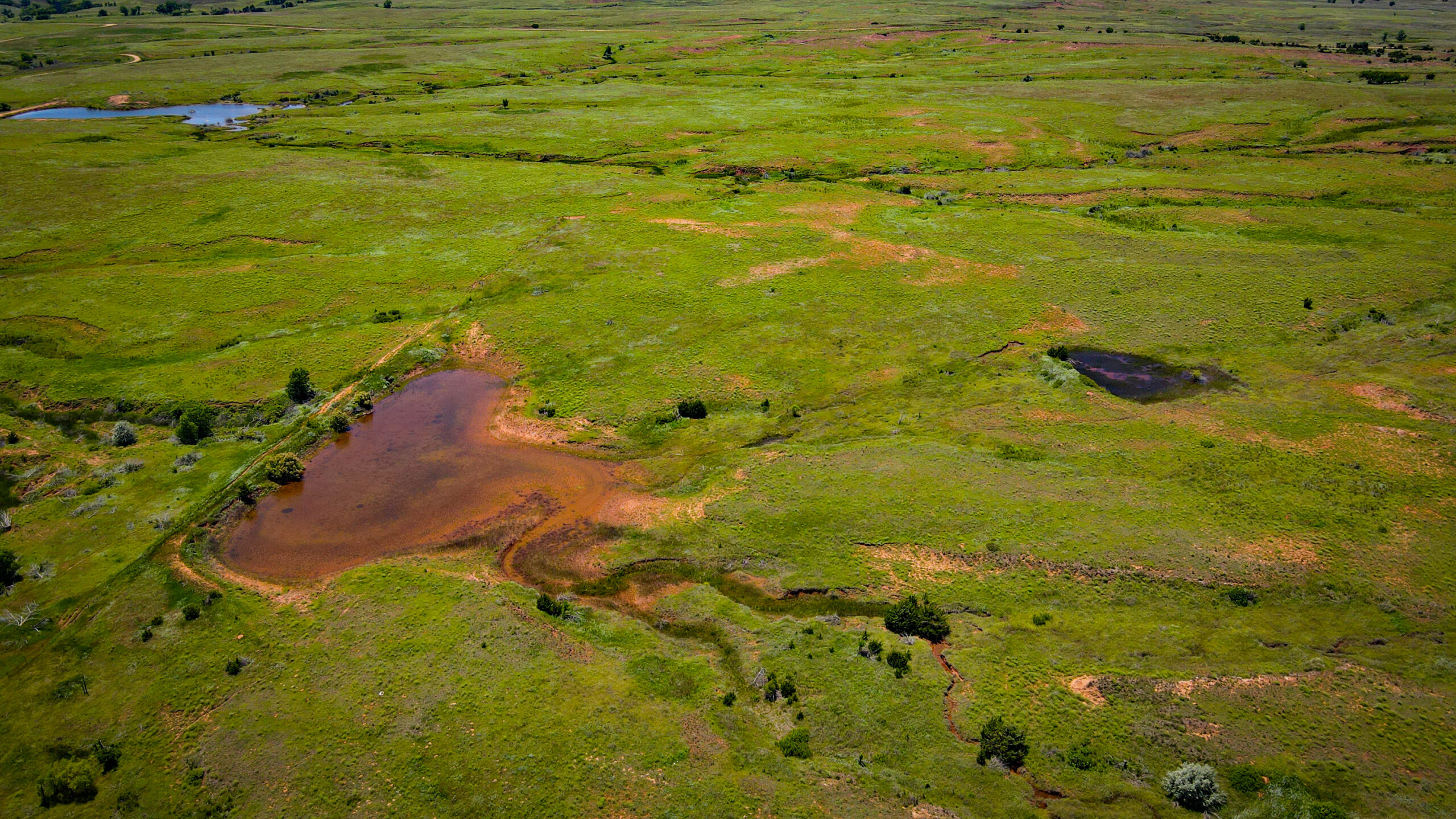 315± Acres | Barber County, KS | Trophy Whitetail Hunting | Red Hills Views