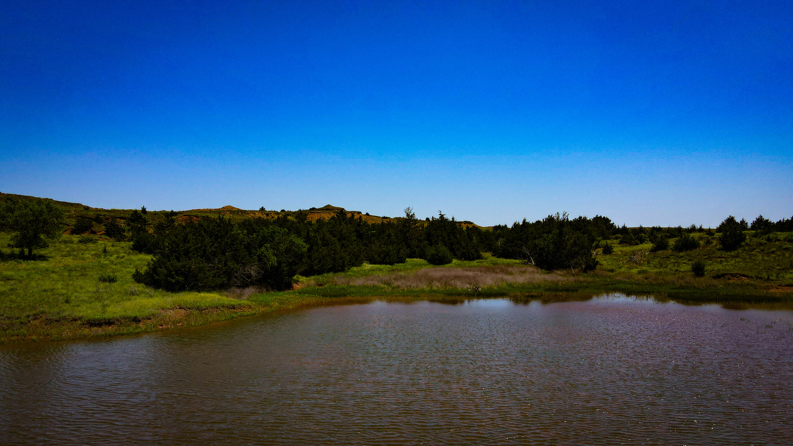 315± Acres | Barber County, KS | Trophy Whitetail Hunting | Red Hills Views