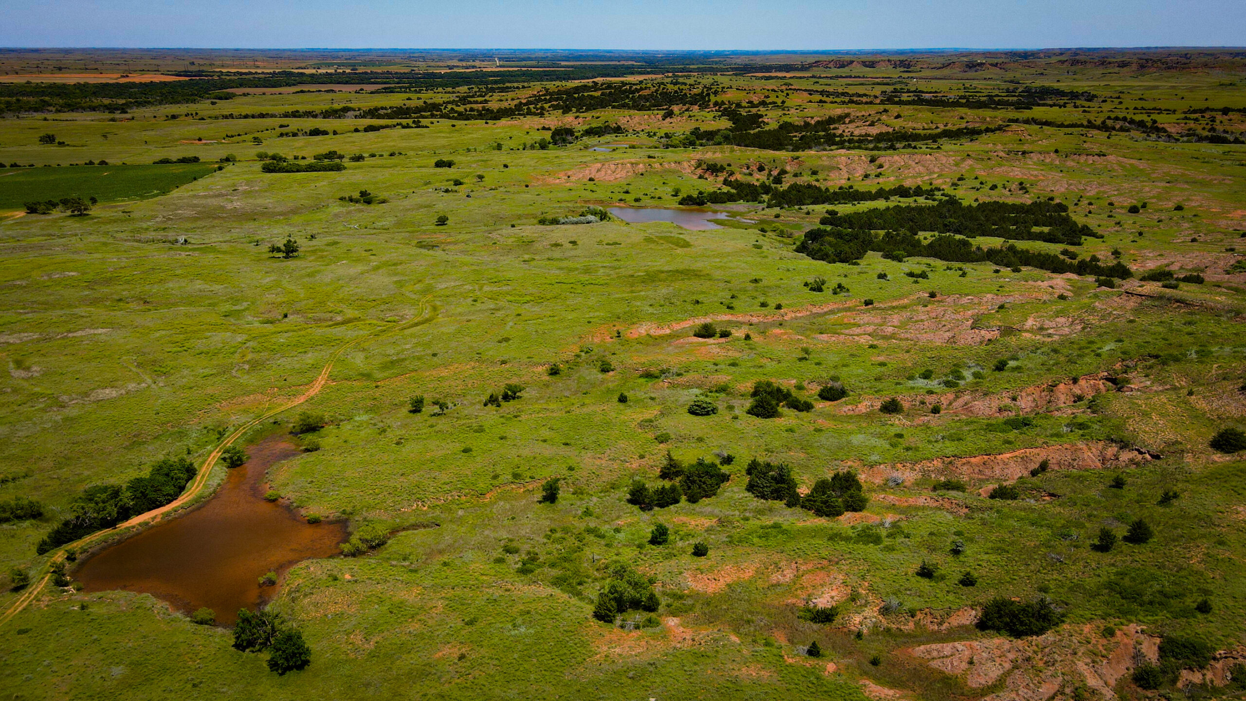 315± Acres | Barber County, KS | Trophy Whitetail Hunting | Red Hills Views