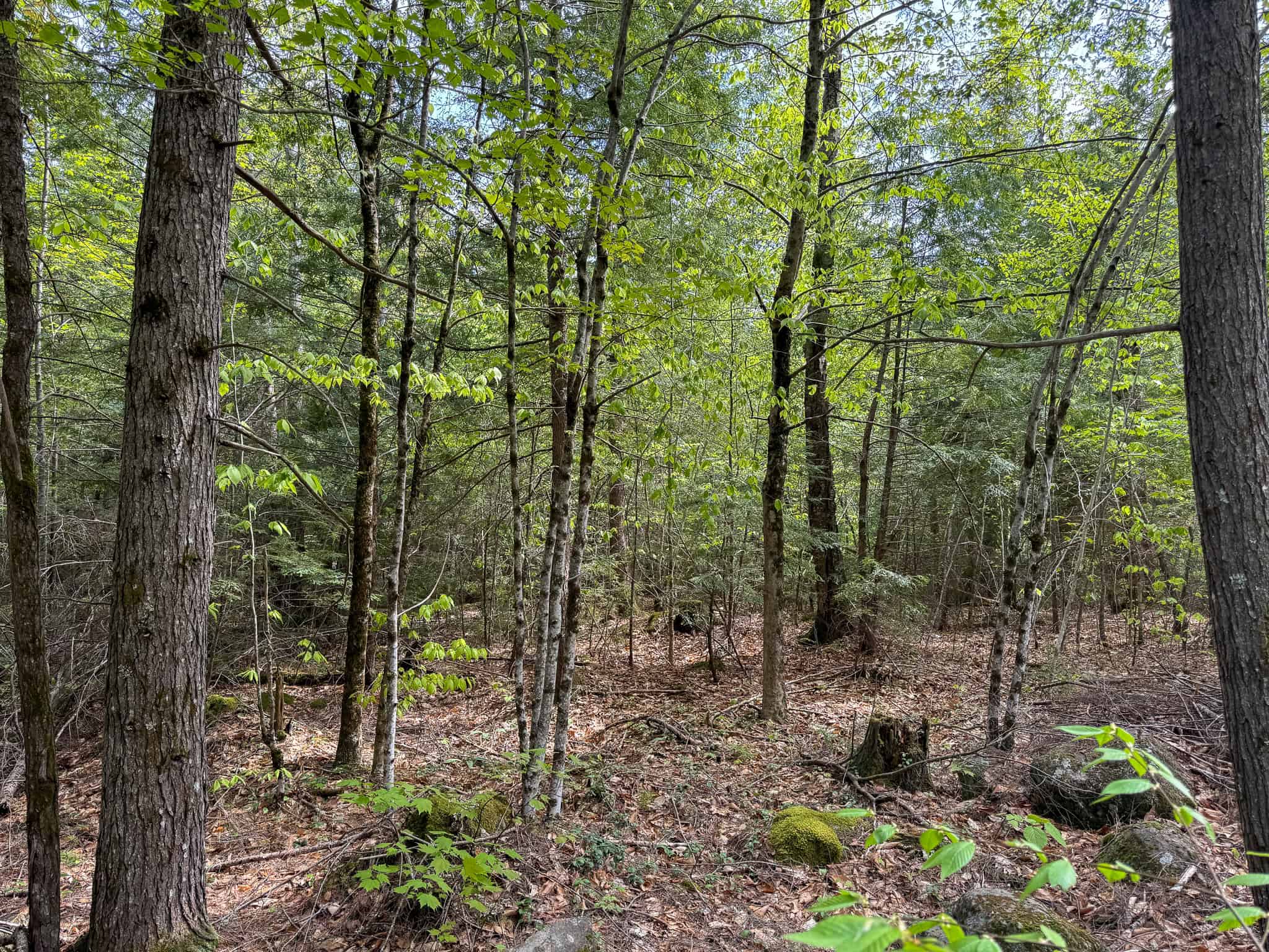 104± Acre Parcel in North Berwick