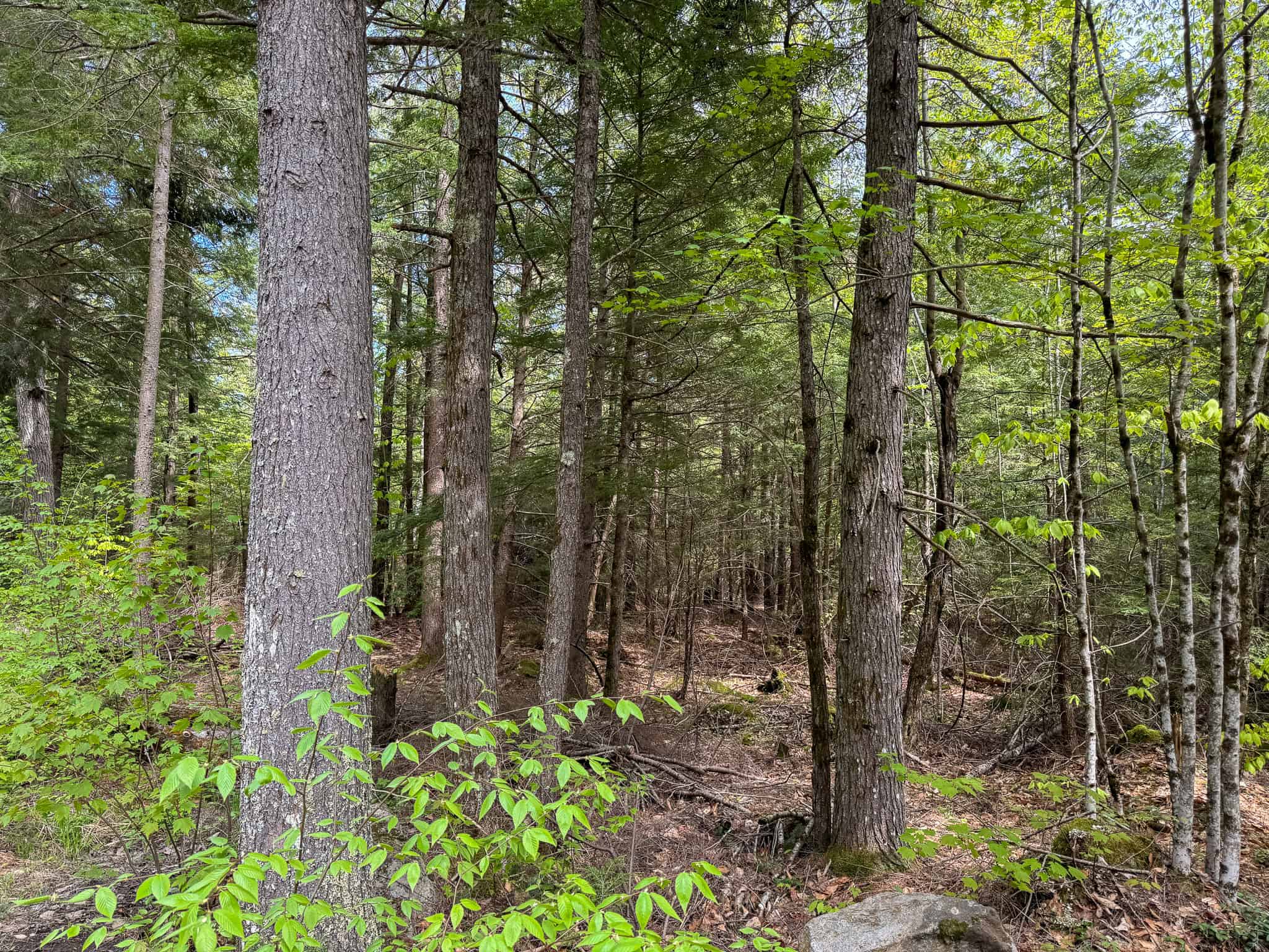 104± Acre Parcel in North Berwick