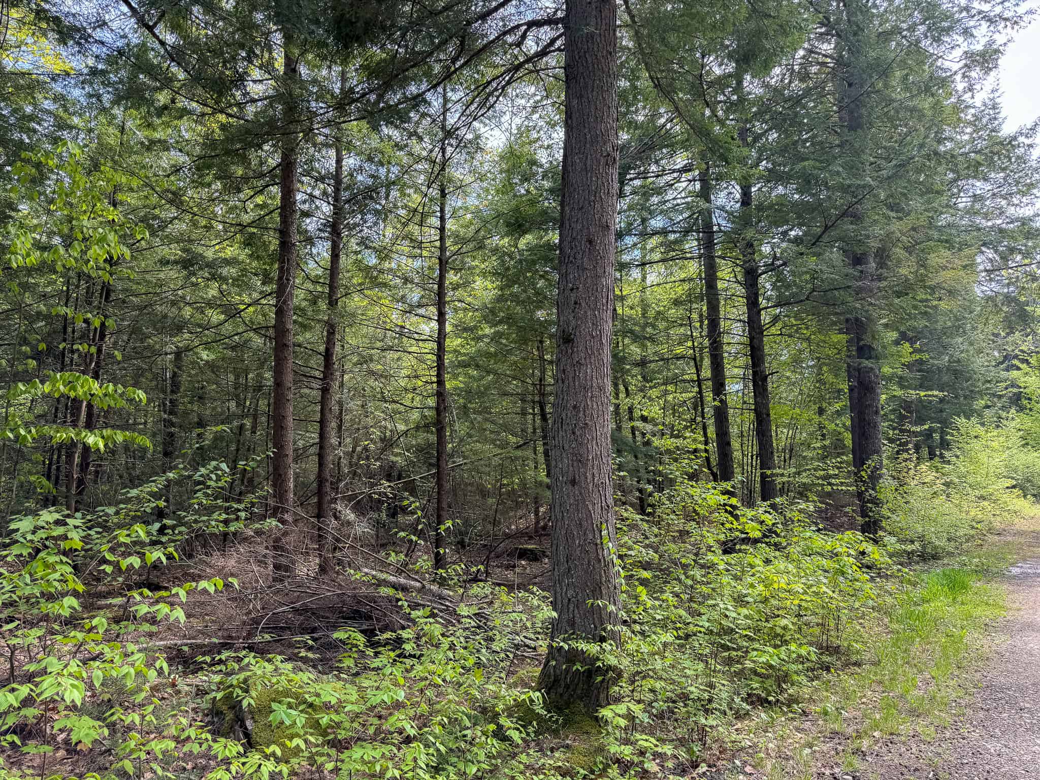 104± Acre Parcel in North Berwick
