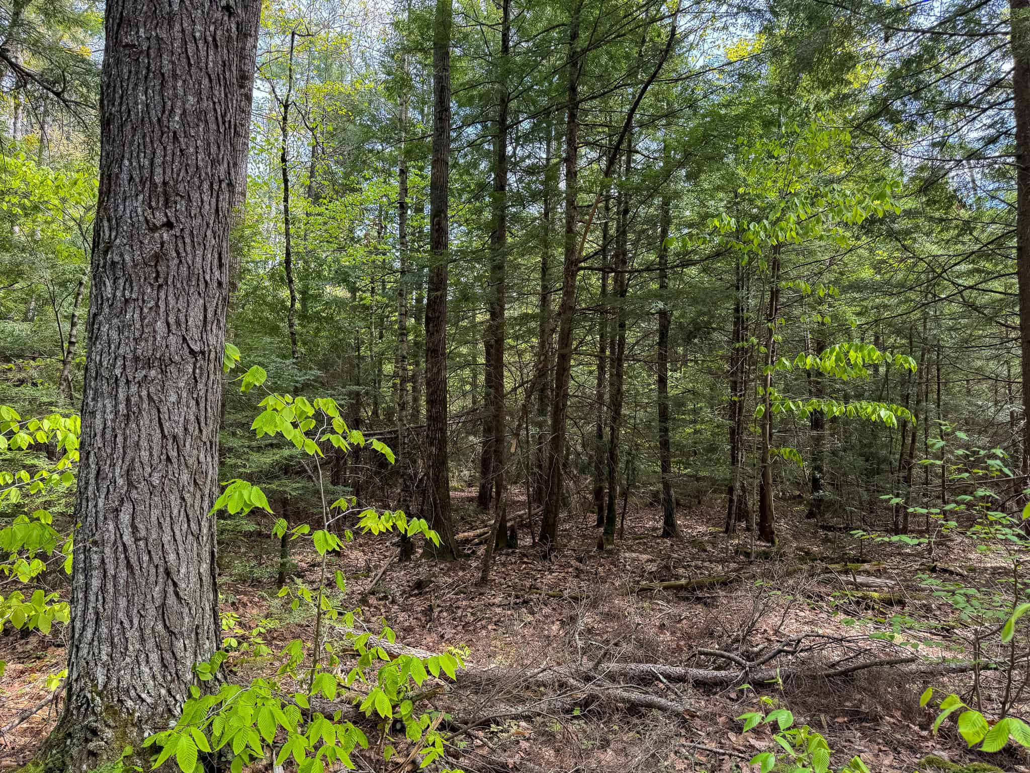 104± Acre Parcel in North Berwick