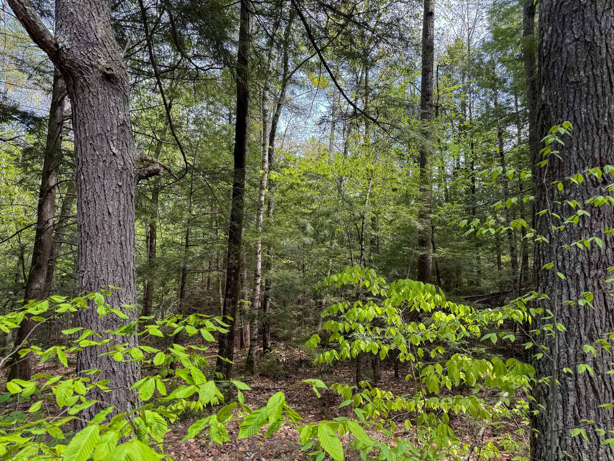 104± Acre Parcel in North Berwick