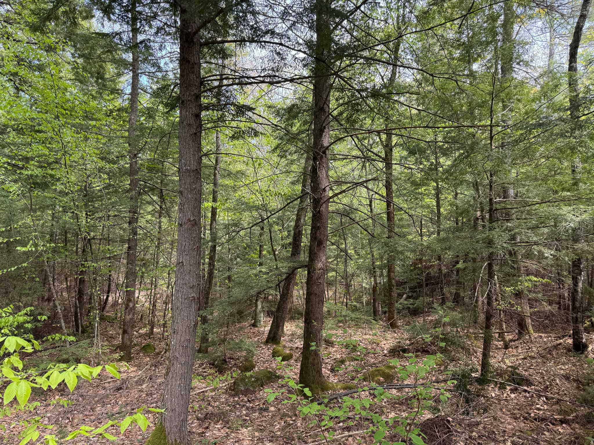 104± Acre Parcel in North Berwick