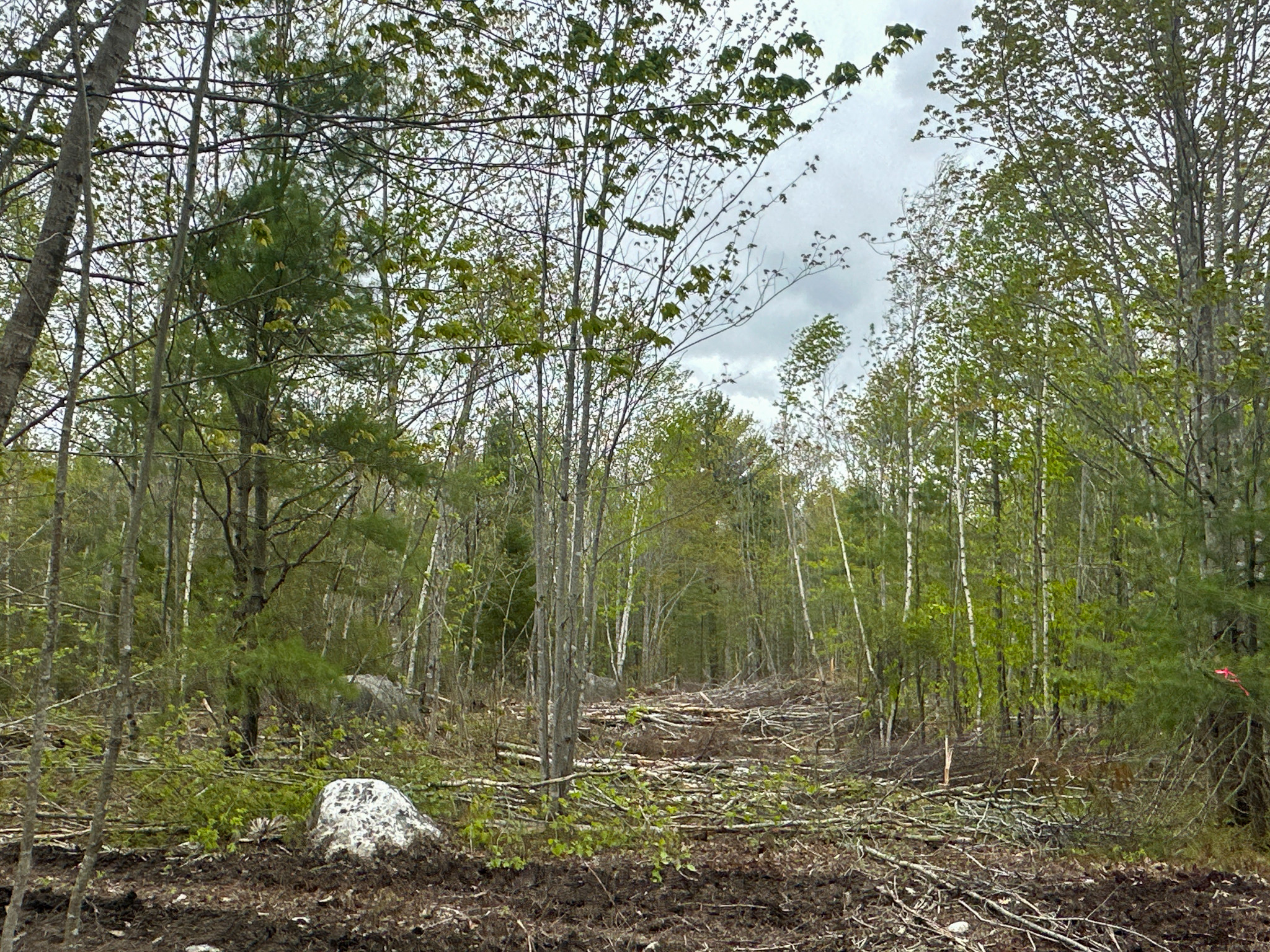 40 Acres of Affordable Maine Land