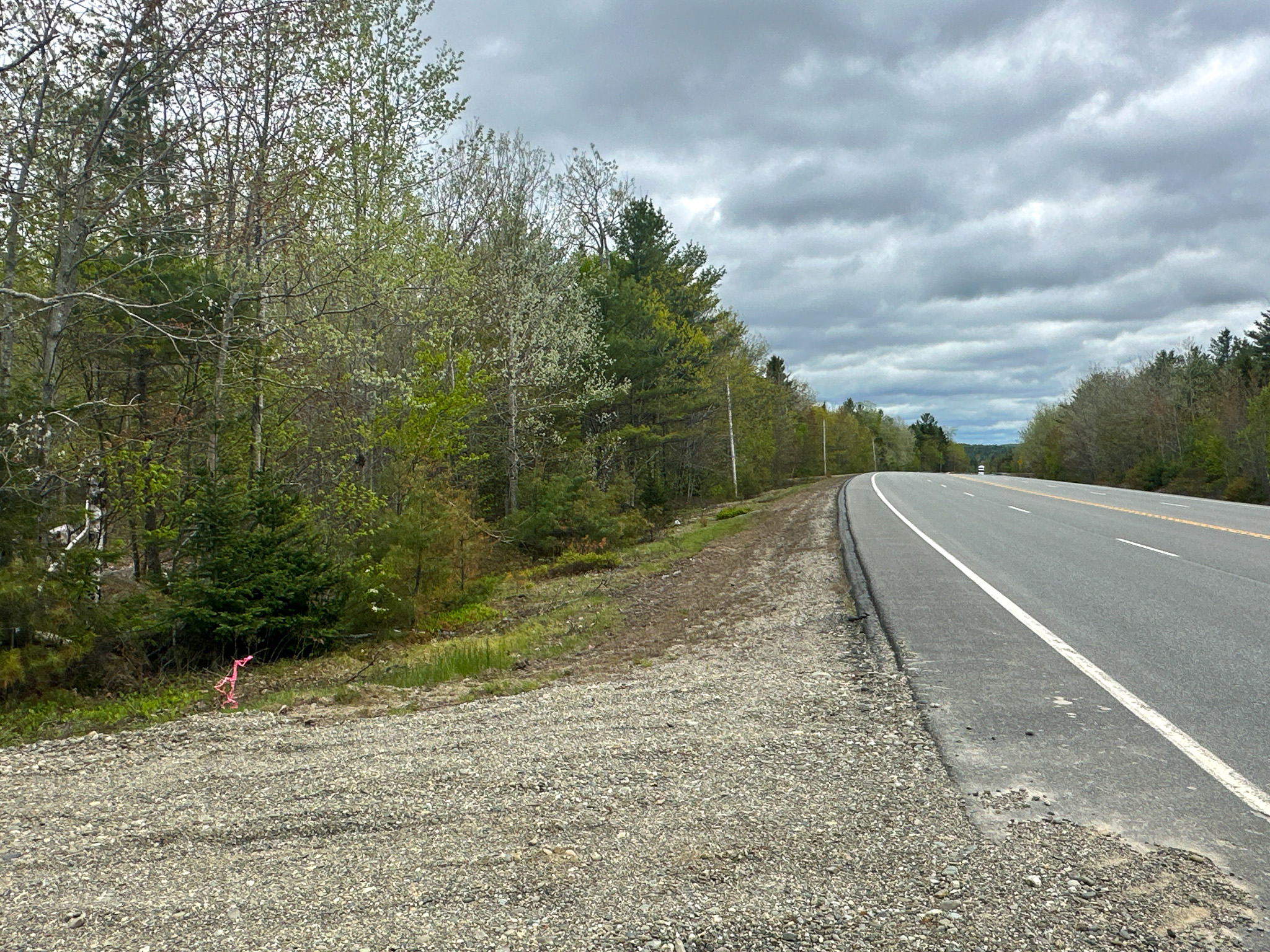 40 Acres of Affordable Maine Land