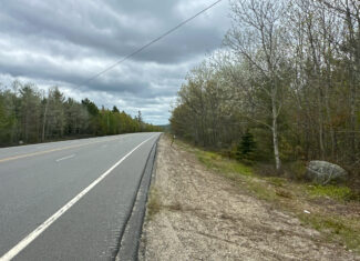 40 Acres of Affordable Maine Land