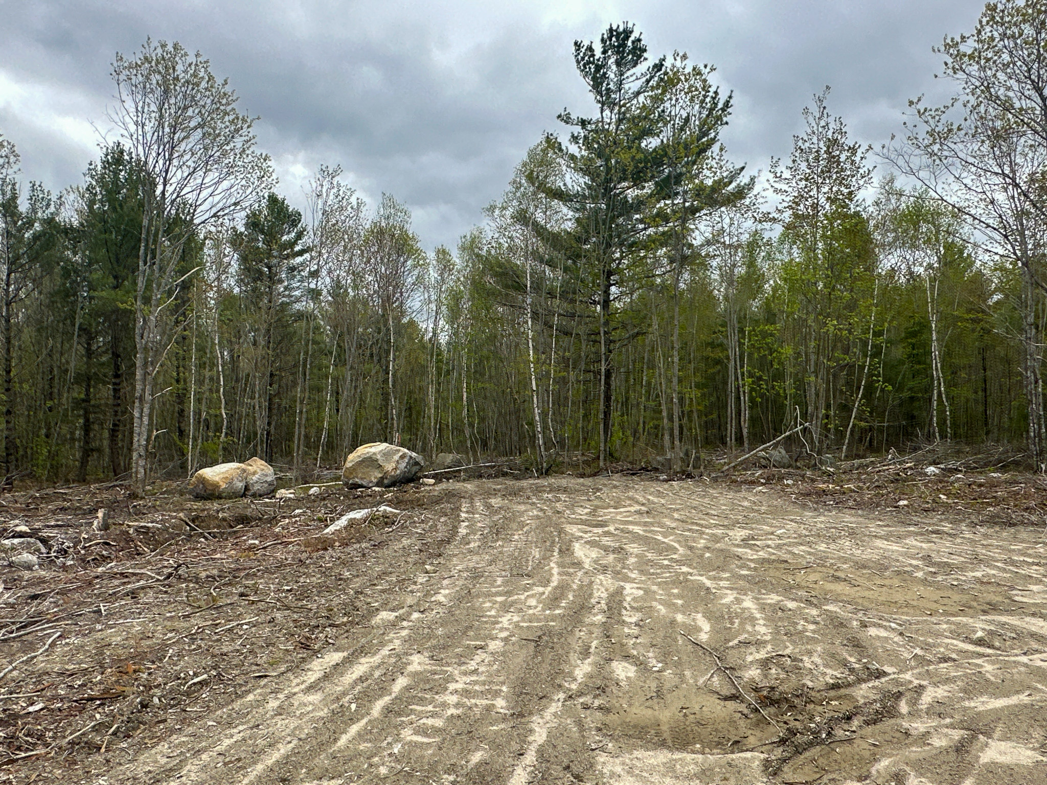 40 Acres of Affordable Maine Land