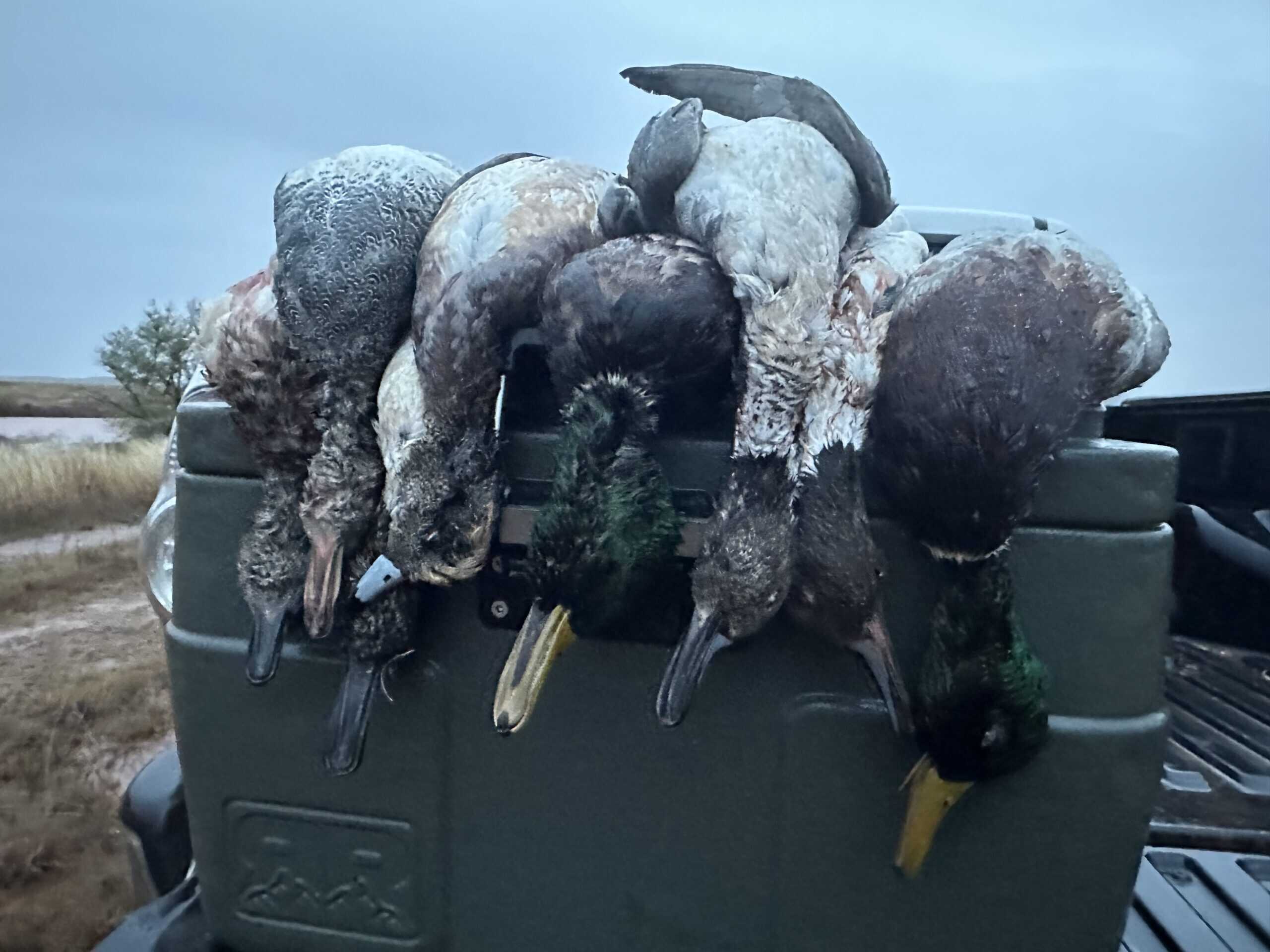 315± Acres | Barber County, KS | Trophy Whitetail Hunting | Red Hills Views