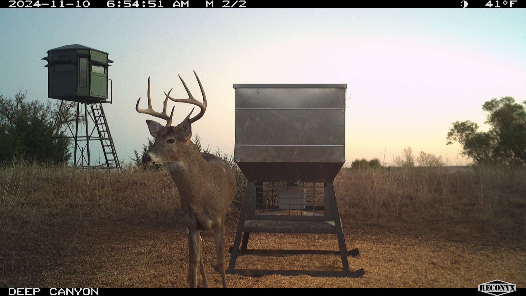 315± Acres | Barber County, KS | Trophy Whitetail Hunting | Red Hills Views