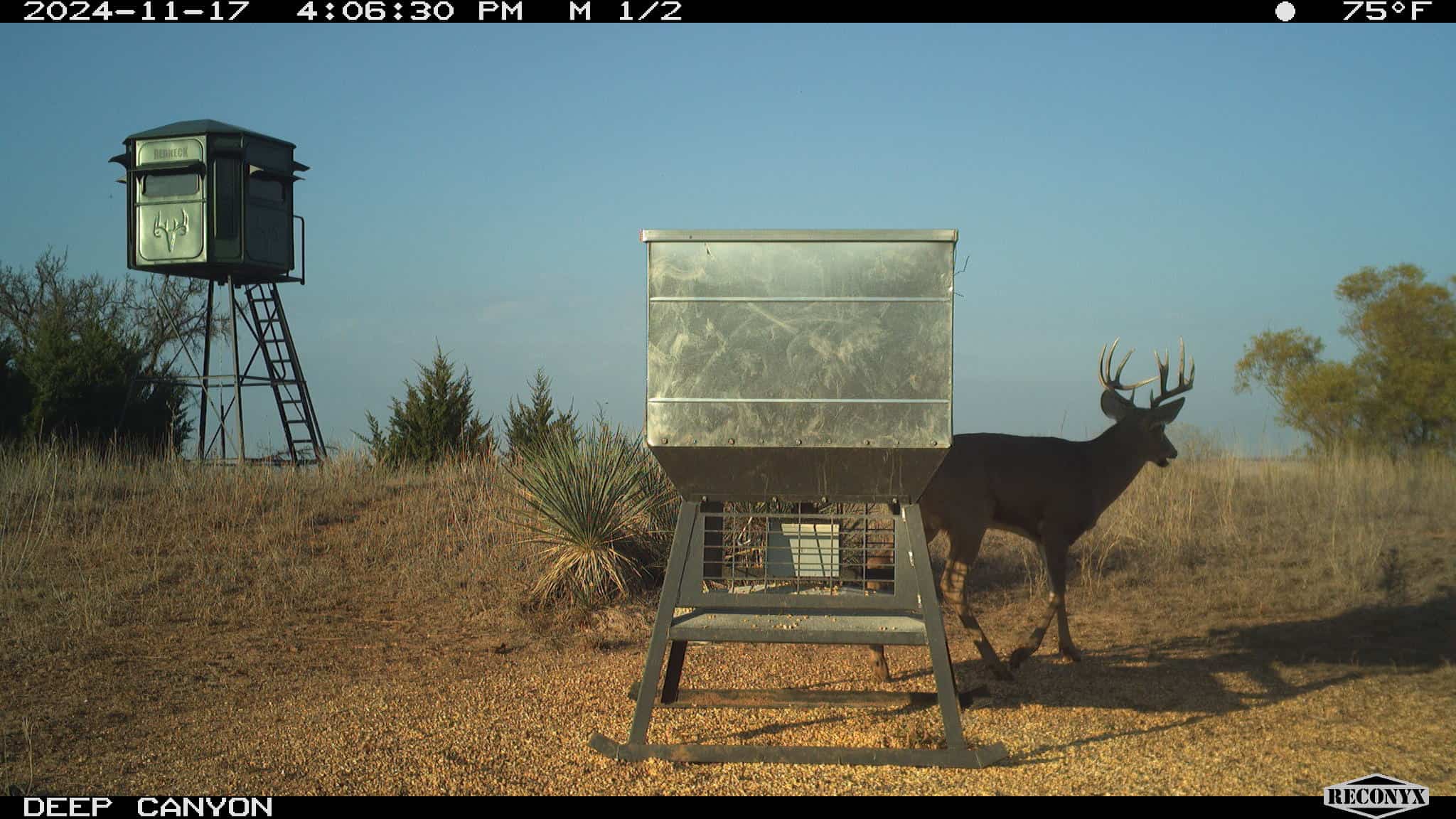 315± Acres | Barber County, KS | Trophy Whitetail Hunting | Red Hills Views