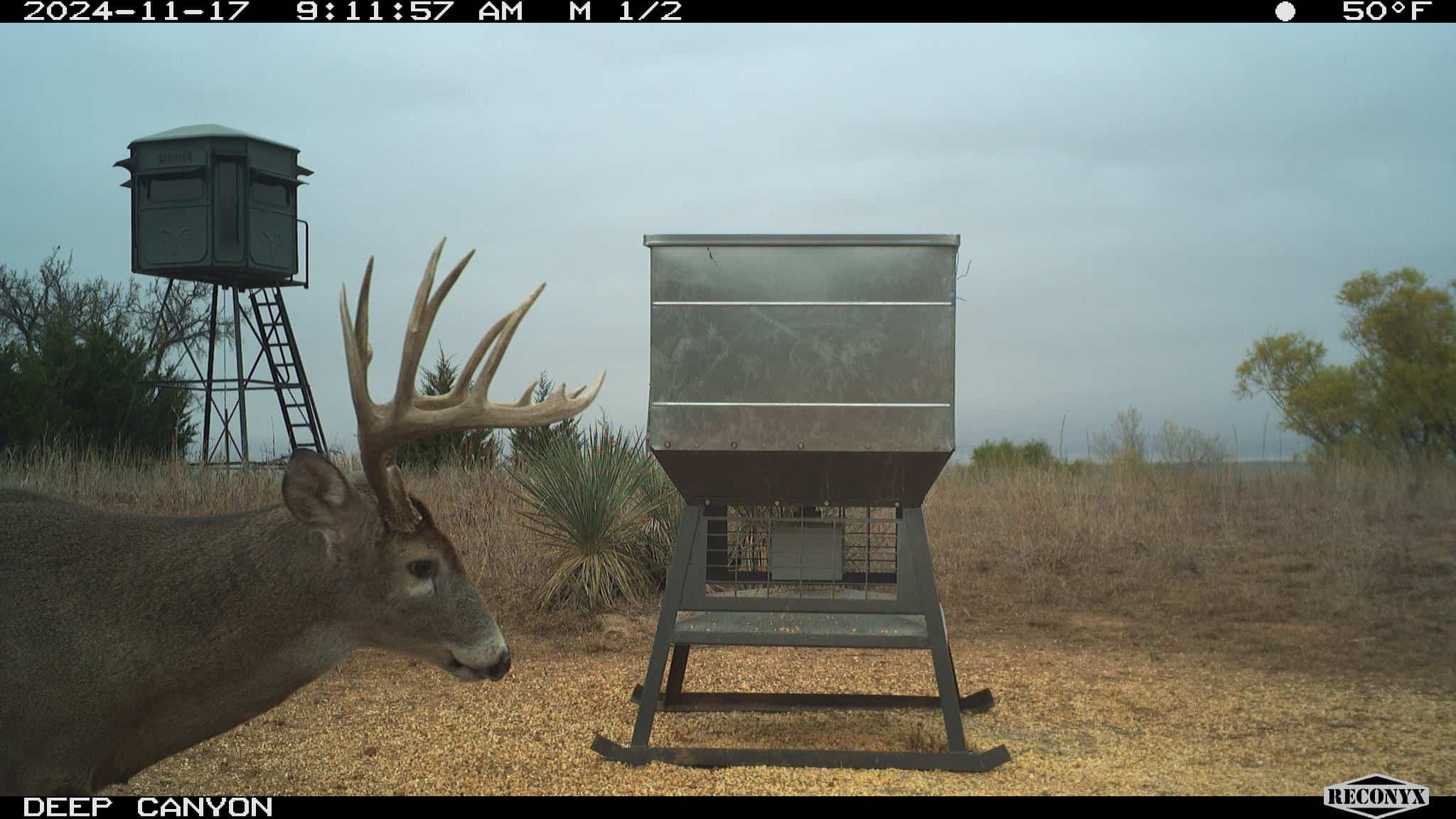 315± Acres | Barber County, KS | Trophy Whitetail Hunting | Red Hills Views