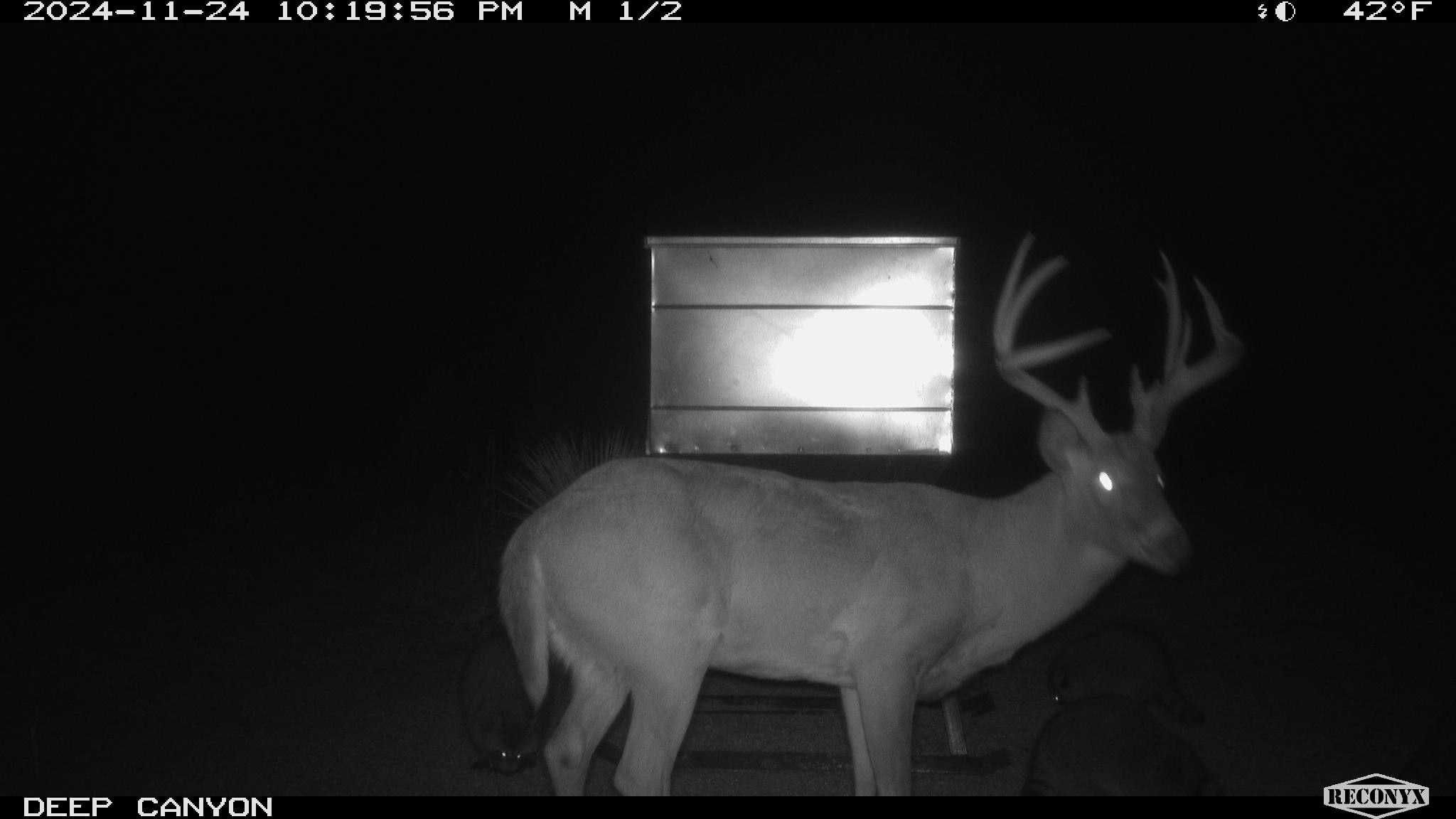 315± Acres | Barber County, KS | Trophy Whitetail Hunting | Red Hills Views