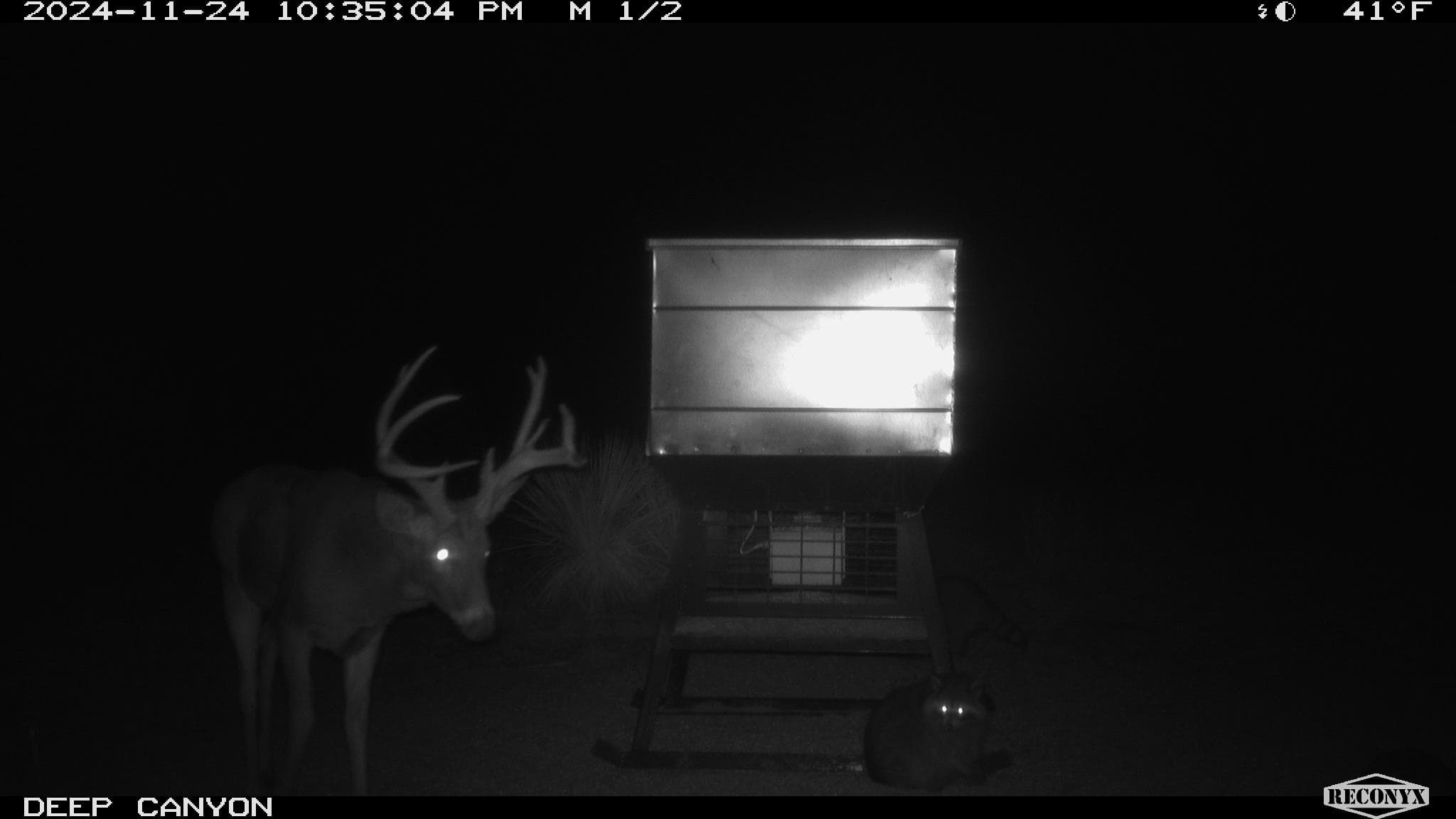 315± Acres | Barber County, KS | Trophy Whitetail Hunting | Red Hills Views