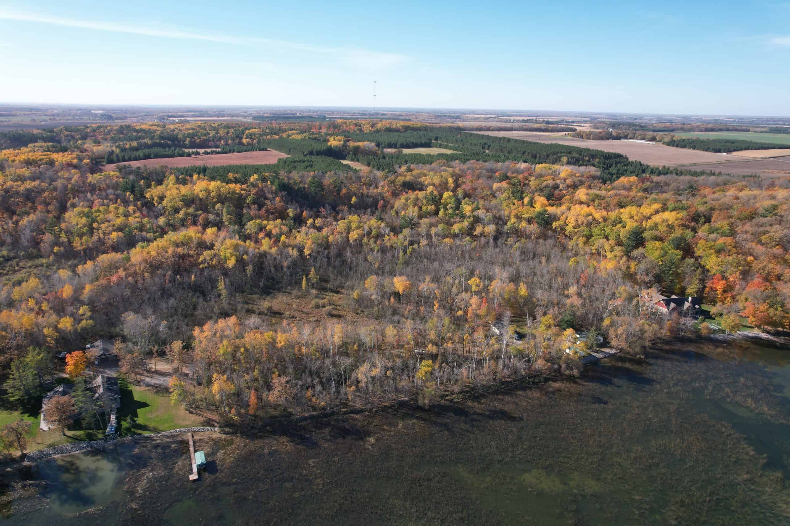 MN Lakefront Cabin and Land Auction
