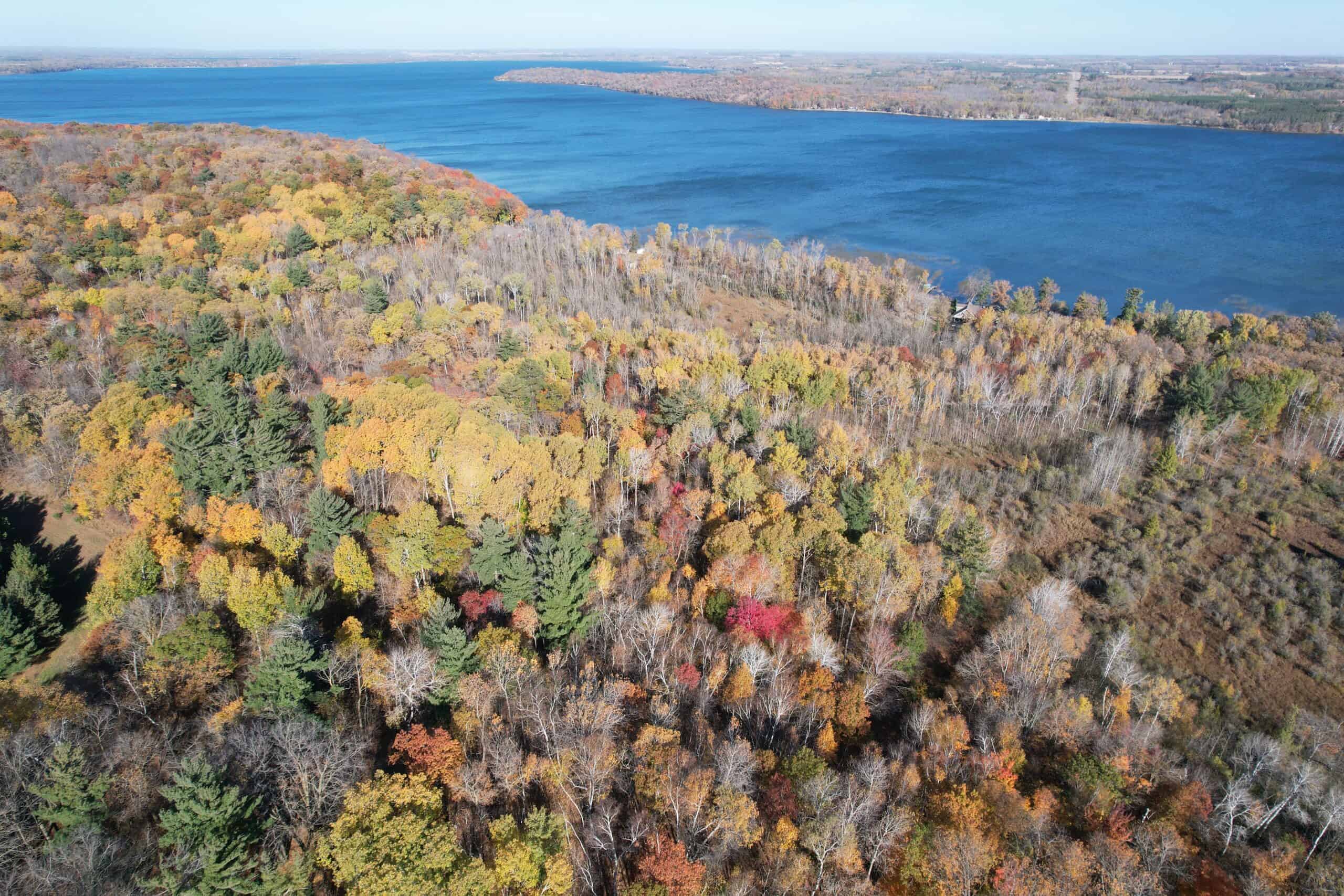 MN Lakefront Cabin and Land Auction
