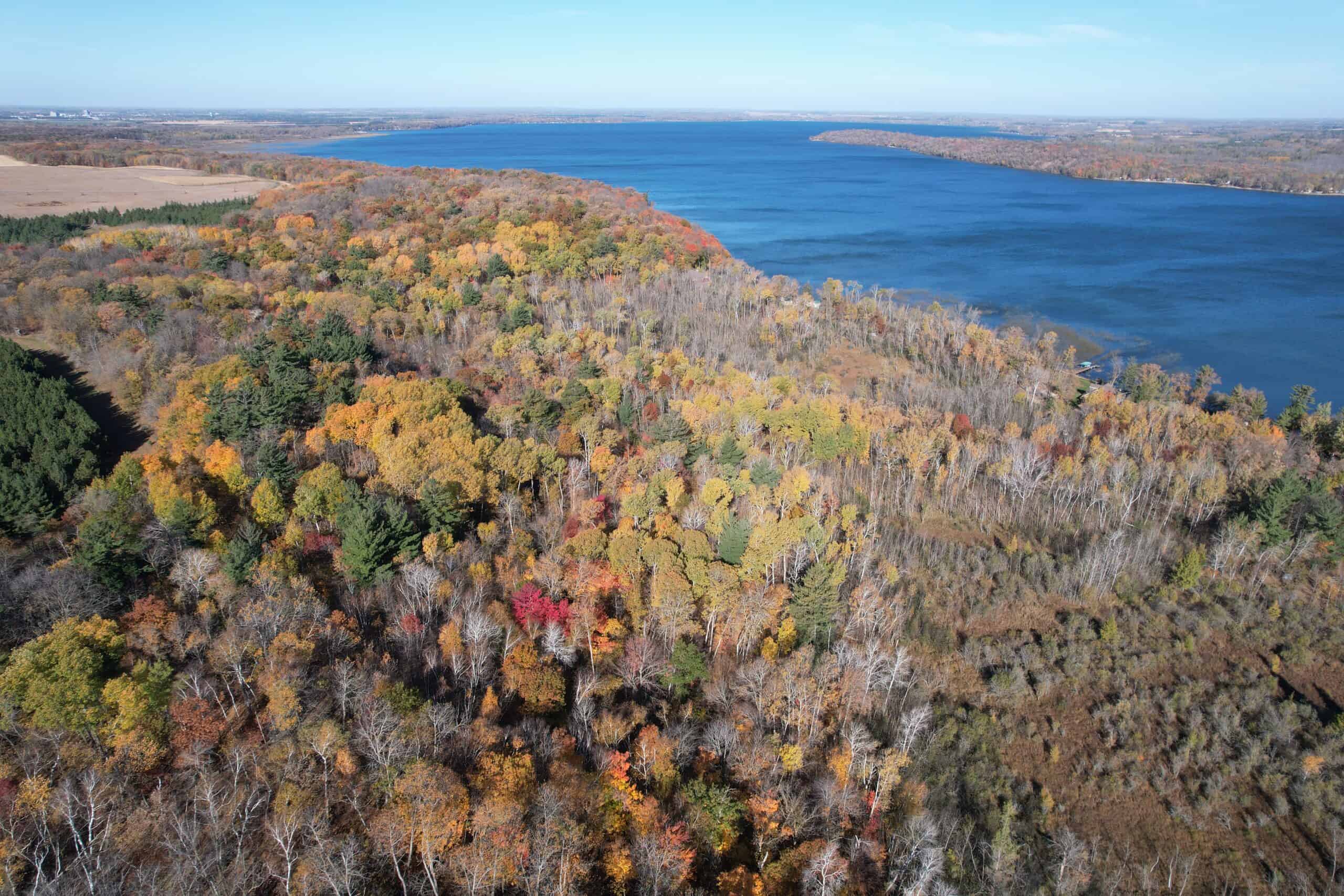 MN Lakefront Cabin and Land Auction