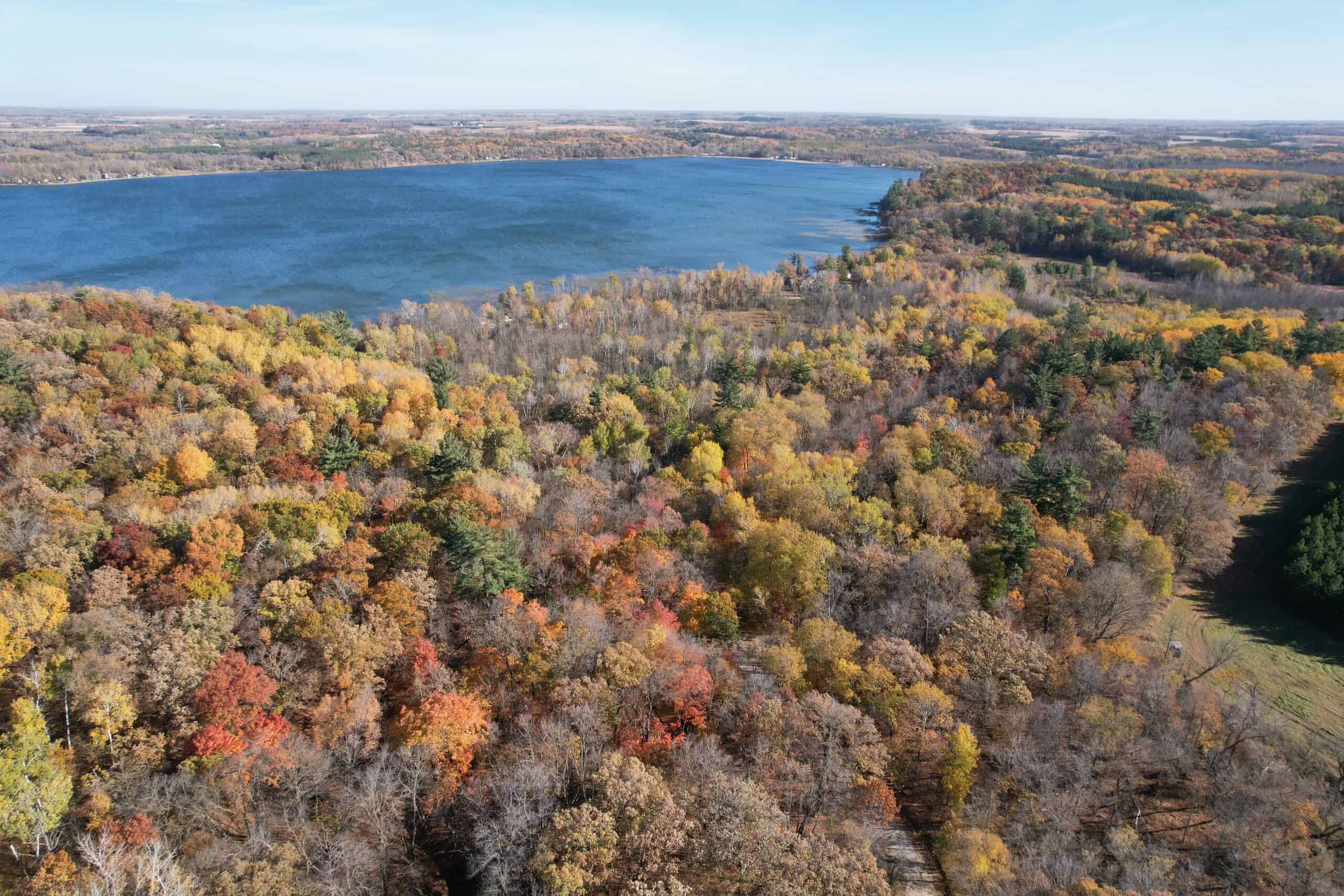 MN Lakefront Cabin and Land Auction