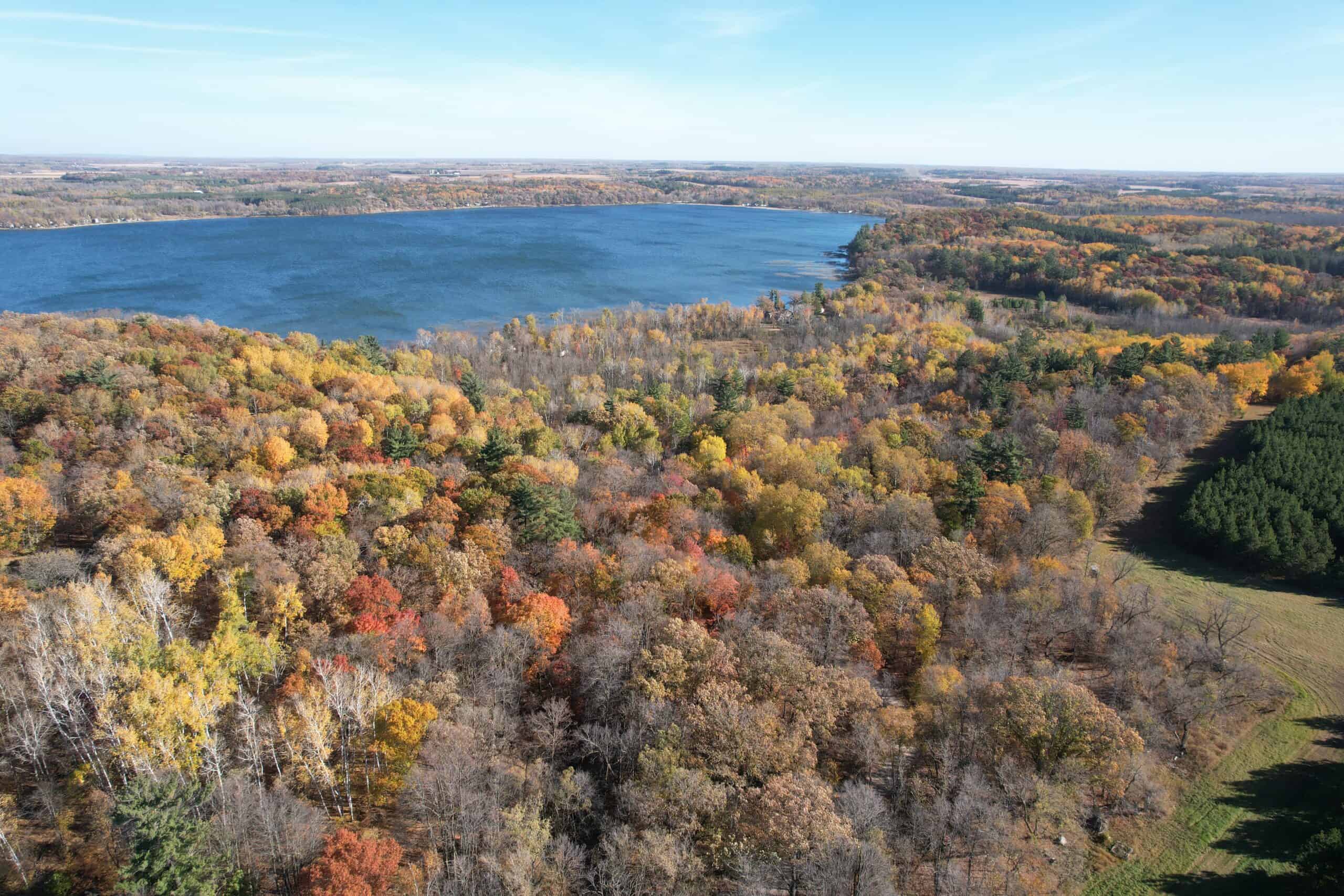 MN Lakefront Cabin and Land Auction