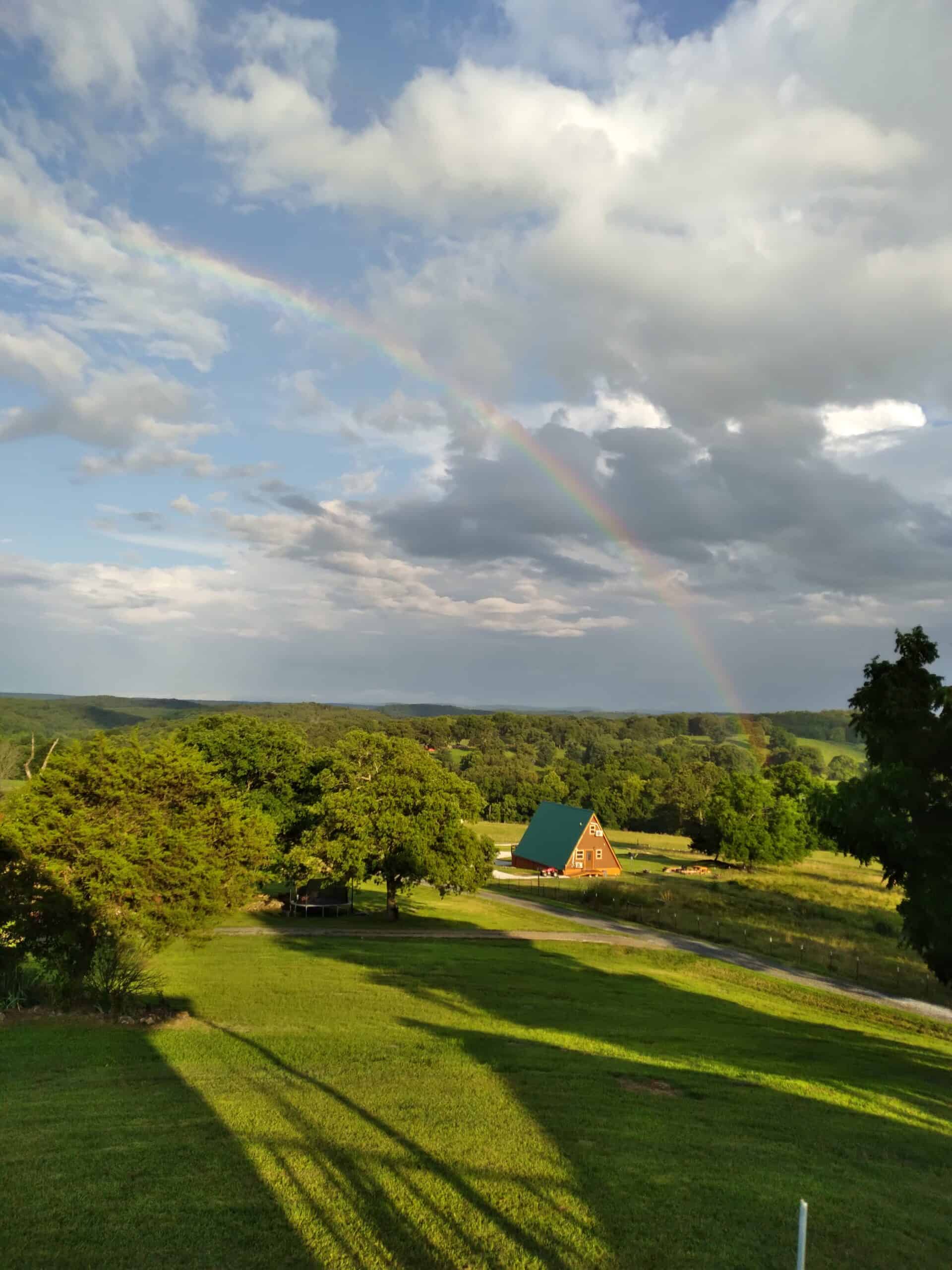 74 Acre Homesteaders paradise