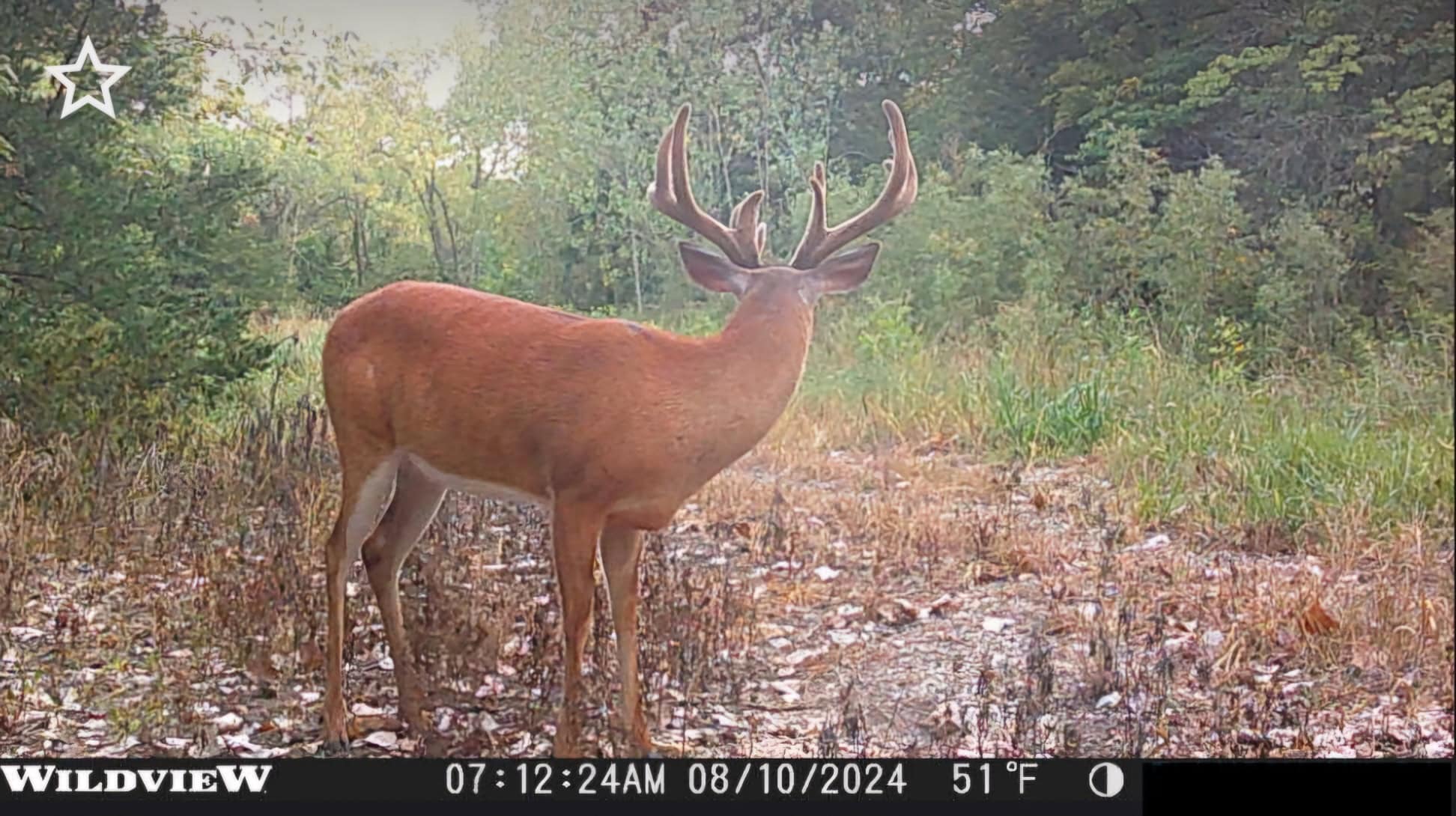 40± Acre Hunting Tract in Northwest Missouri
