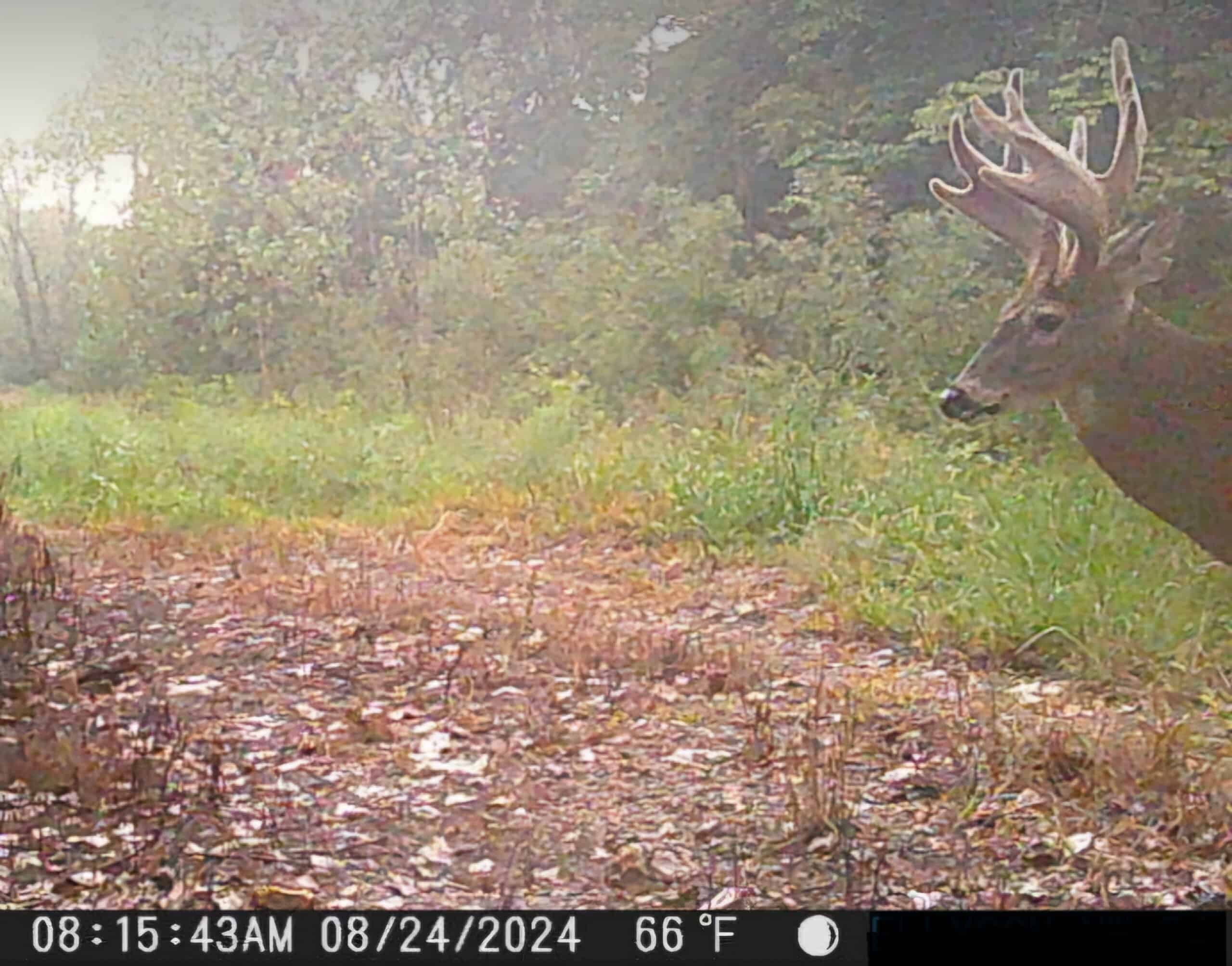 40± Acre Hunting Tract in Northwest Missouri