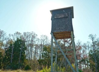 200-AC Hunting & Waterfront Tract in Hyde County, NC