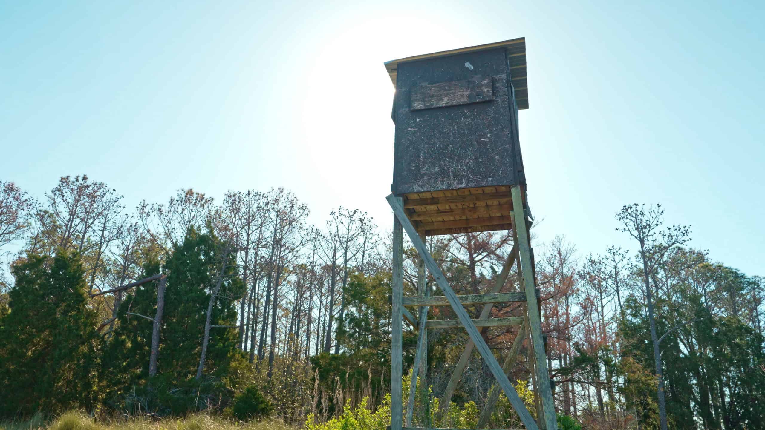 200-AC Hunting & Waterfront Tract in Hyde County, NC