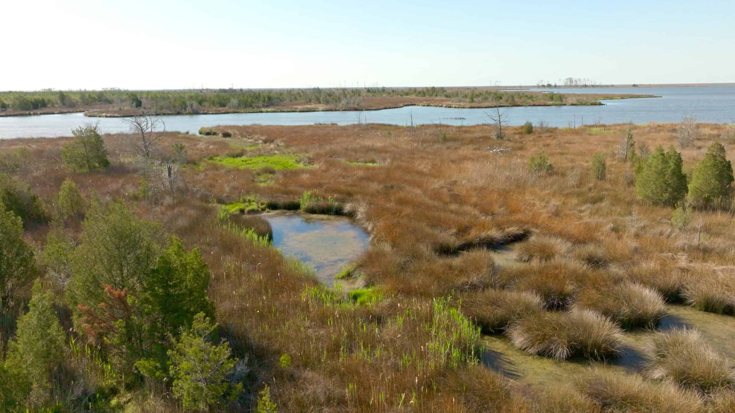 200-AC Hunting & Waterfront Tract in Hyde County, NC
