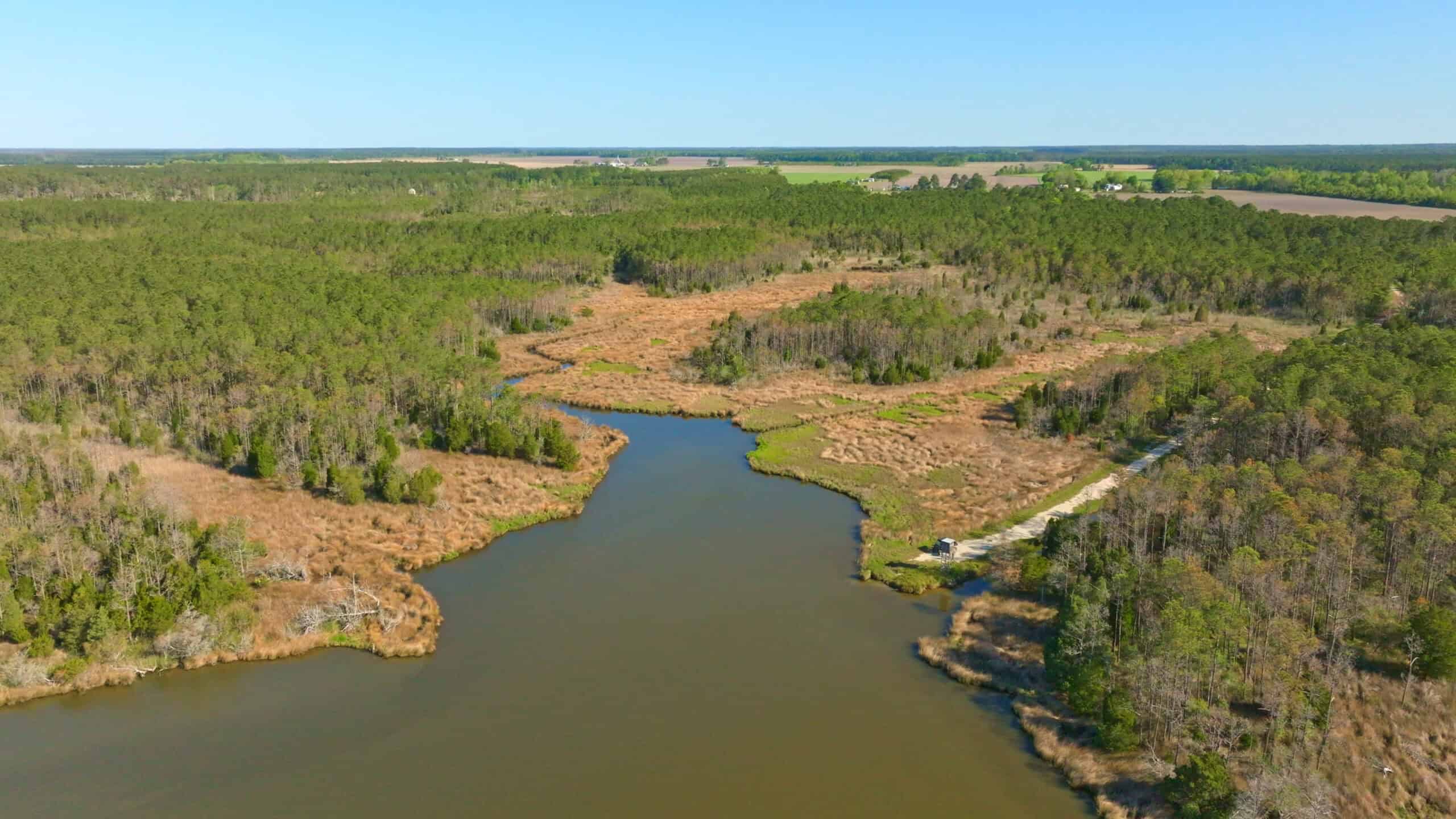 200-AC Hunting & Waterfront Tract in Hyde County, NC