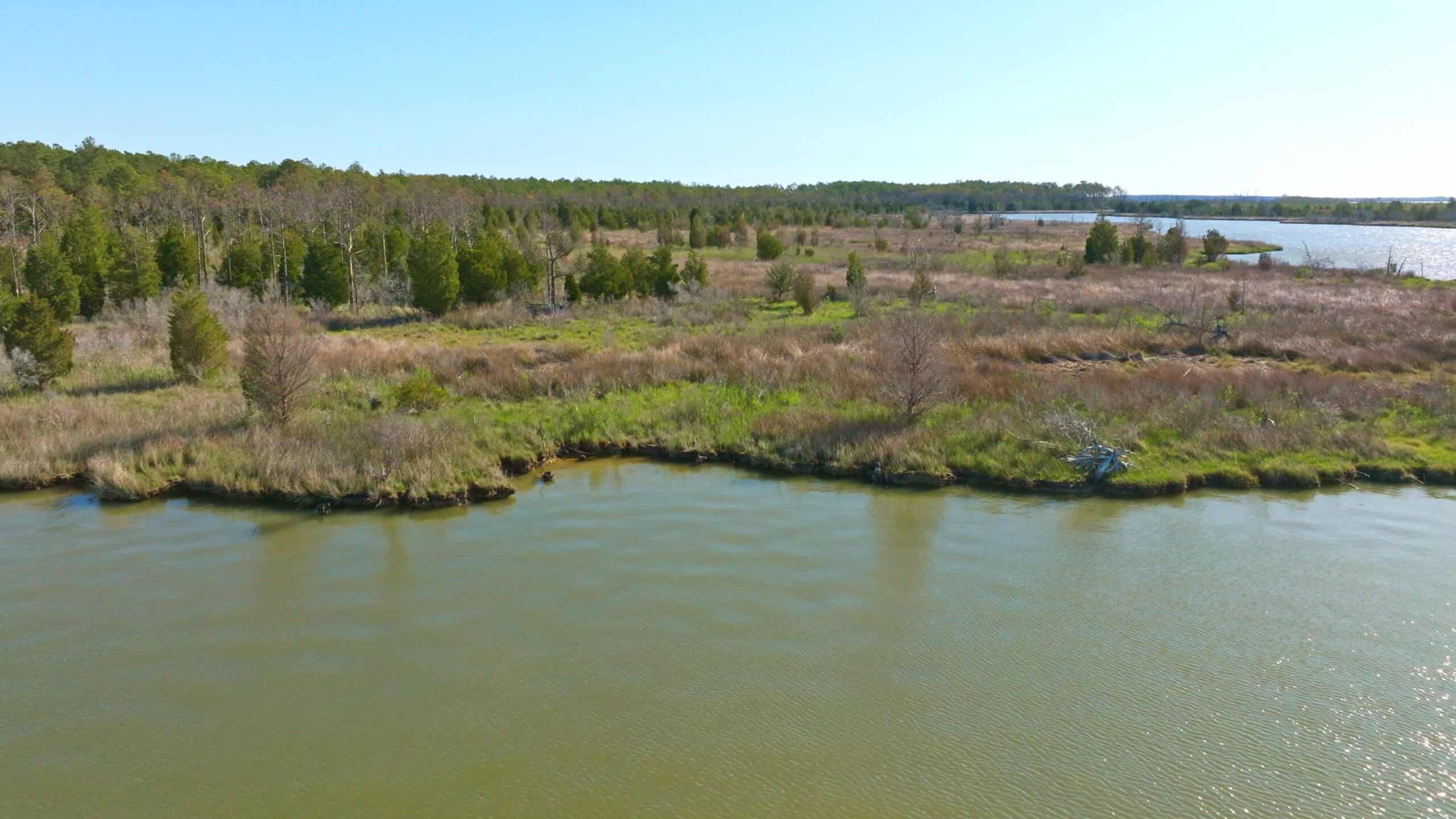200-AC Hunting & Waterfront Tract in Hyde County, NC