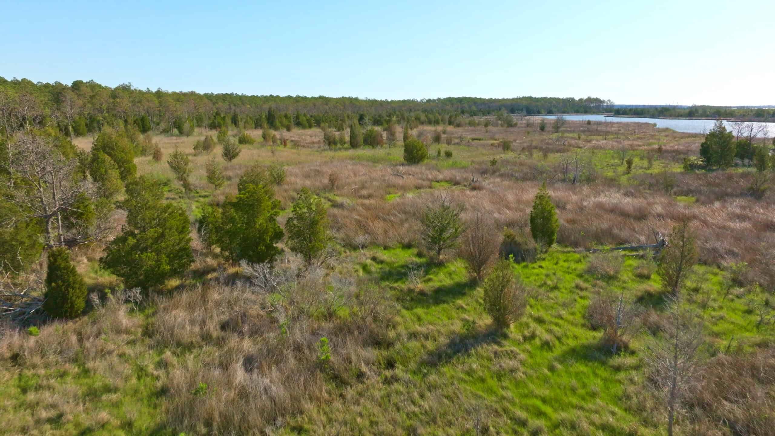 200-AC Hunting & Waterfront Tract in Hyde County, NC