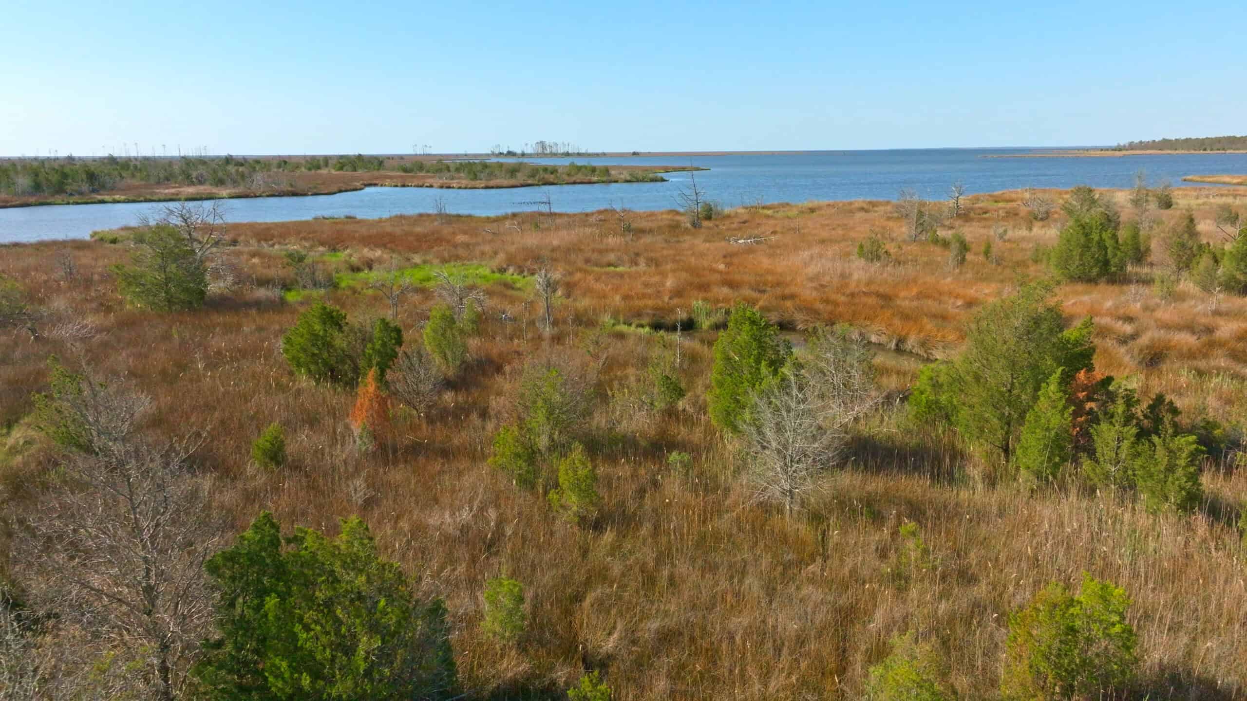 200-AC Hunting & Waterfront Tract in Hyde County, NC