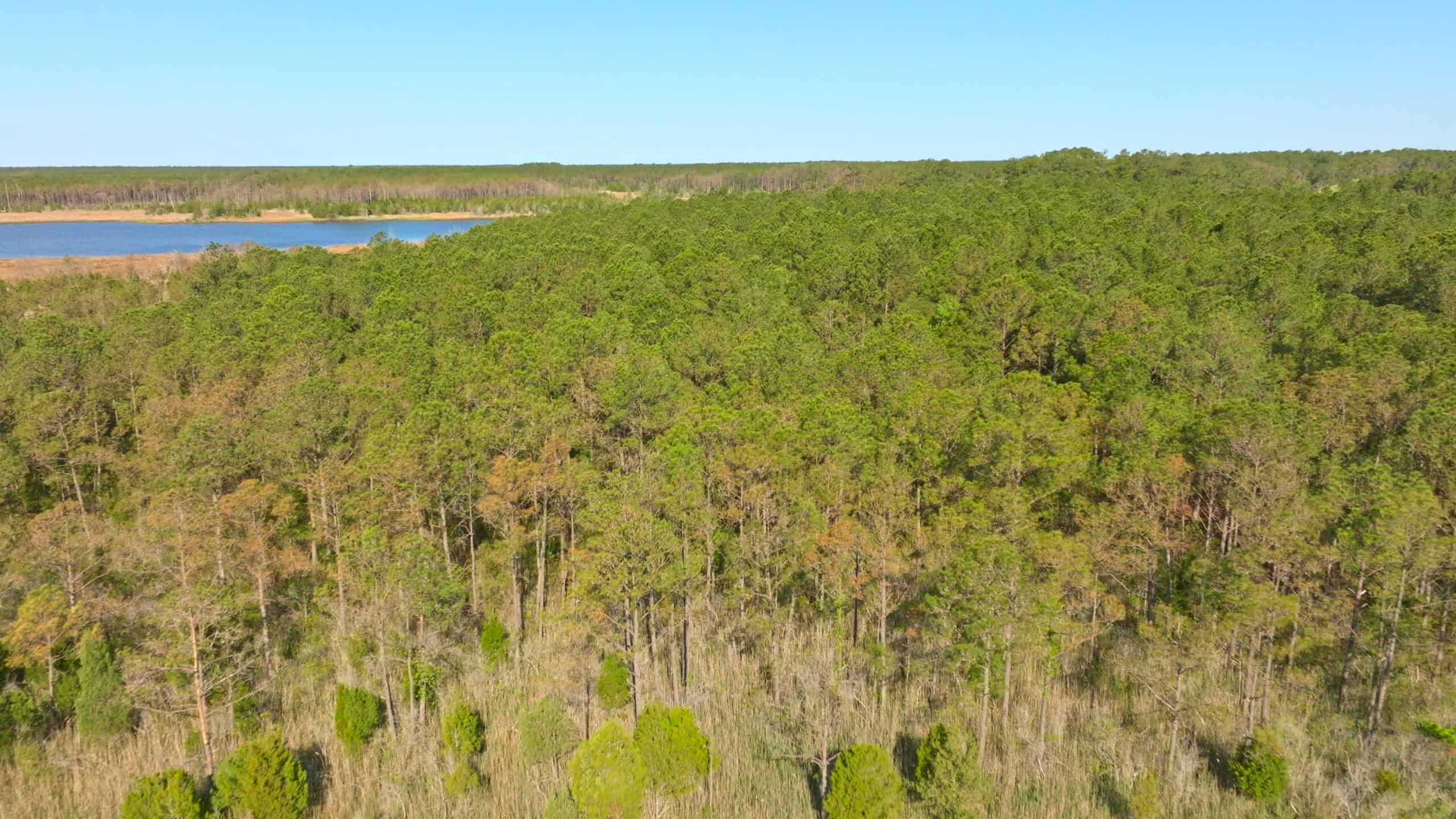 200-AC Hunting & Waterfront Tract in Hyde County, NC