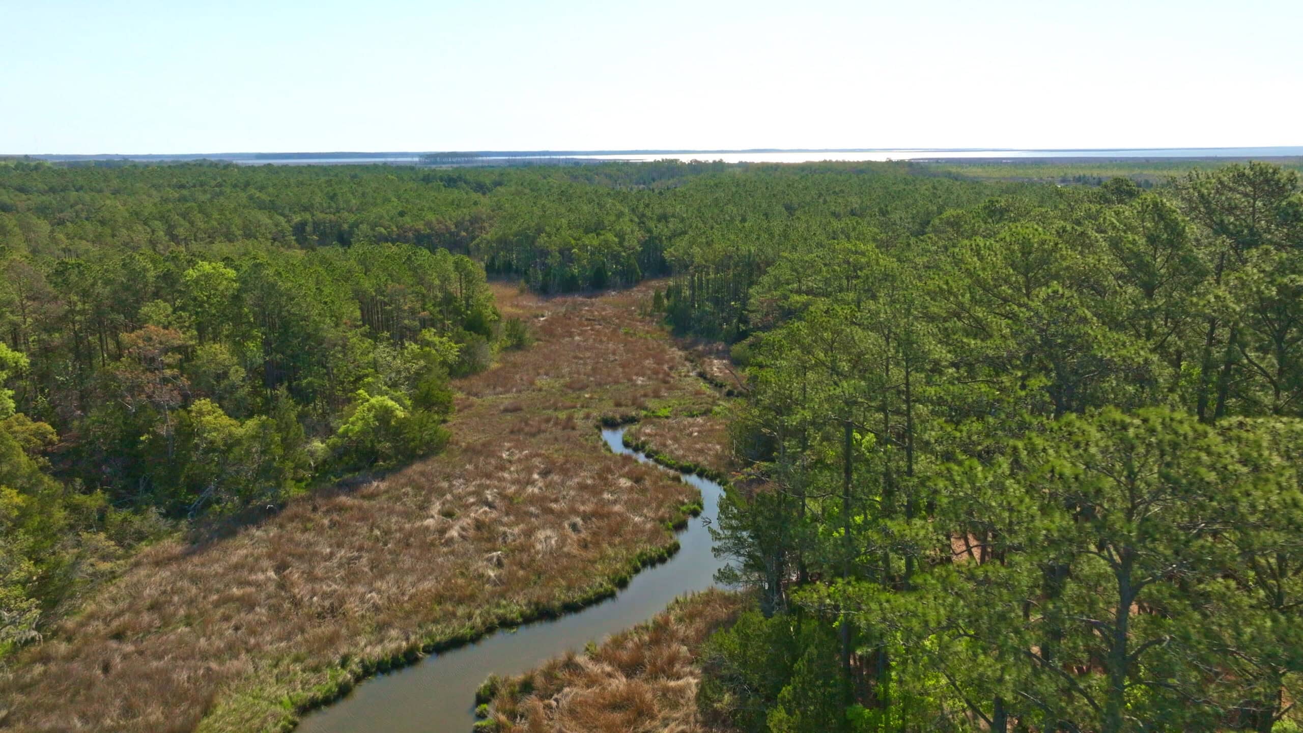 200-AC Hunting & Waterfront Tract in Hyde County, NC
