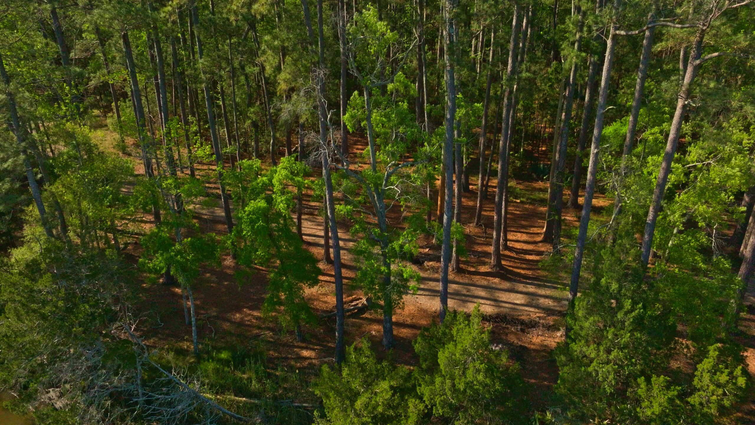 200-AC Hunting & Waterfront Tract in Hyde County, NC