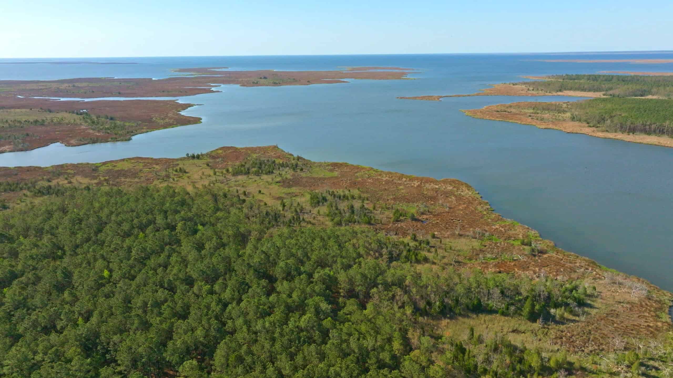 200-AC Hunting & Waterfront Tract in Hyde County, NC