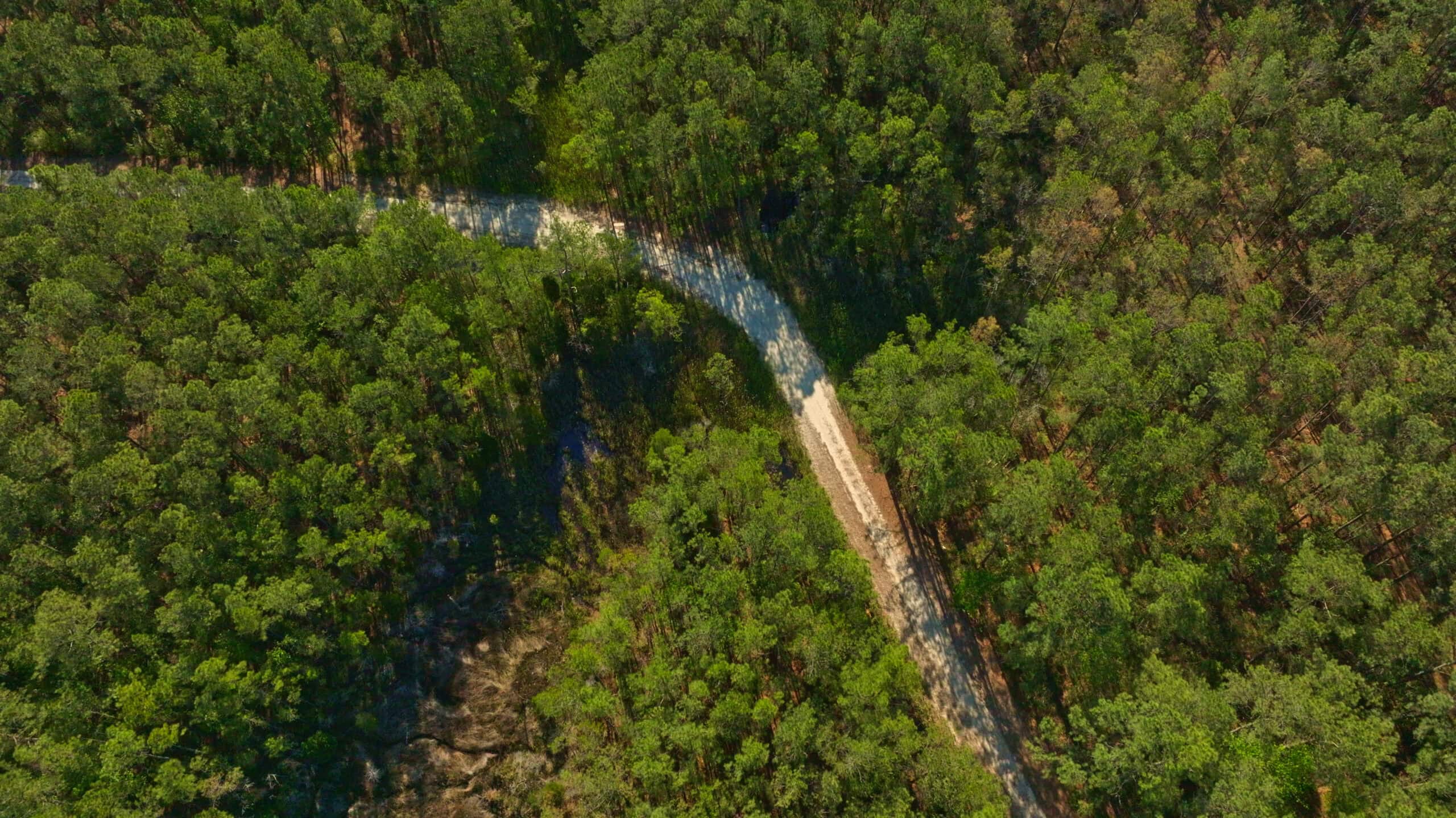 200-AC Hunting & Waterfront Tract in Hyde County, NC