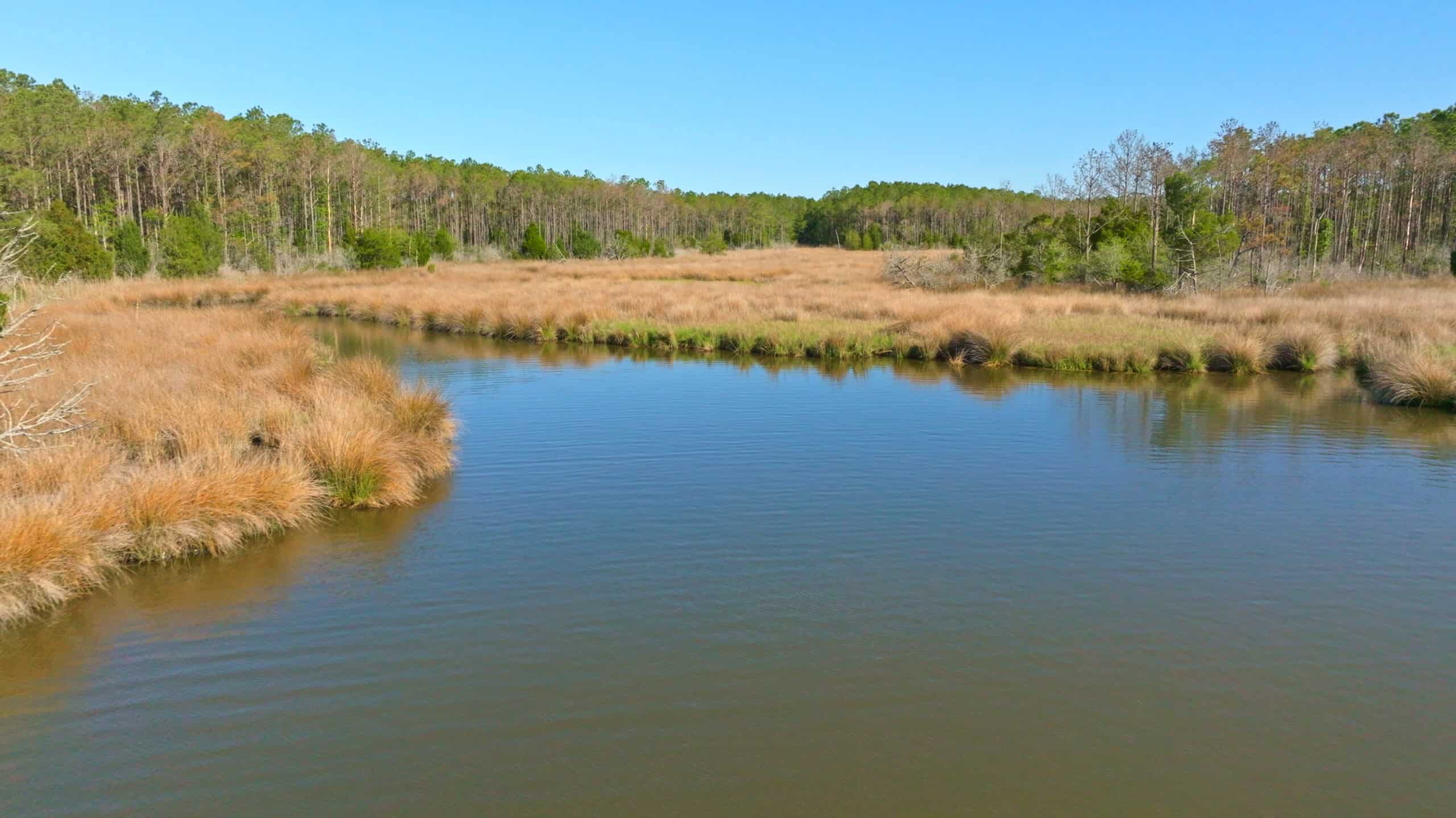 200-AC Hunting & Waterfront Tract in Hyde County, NC