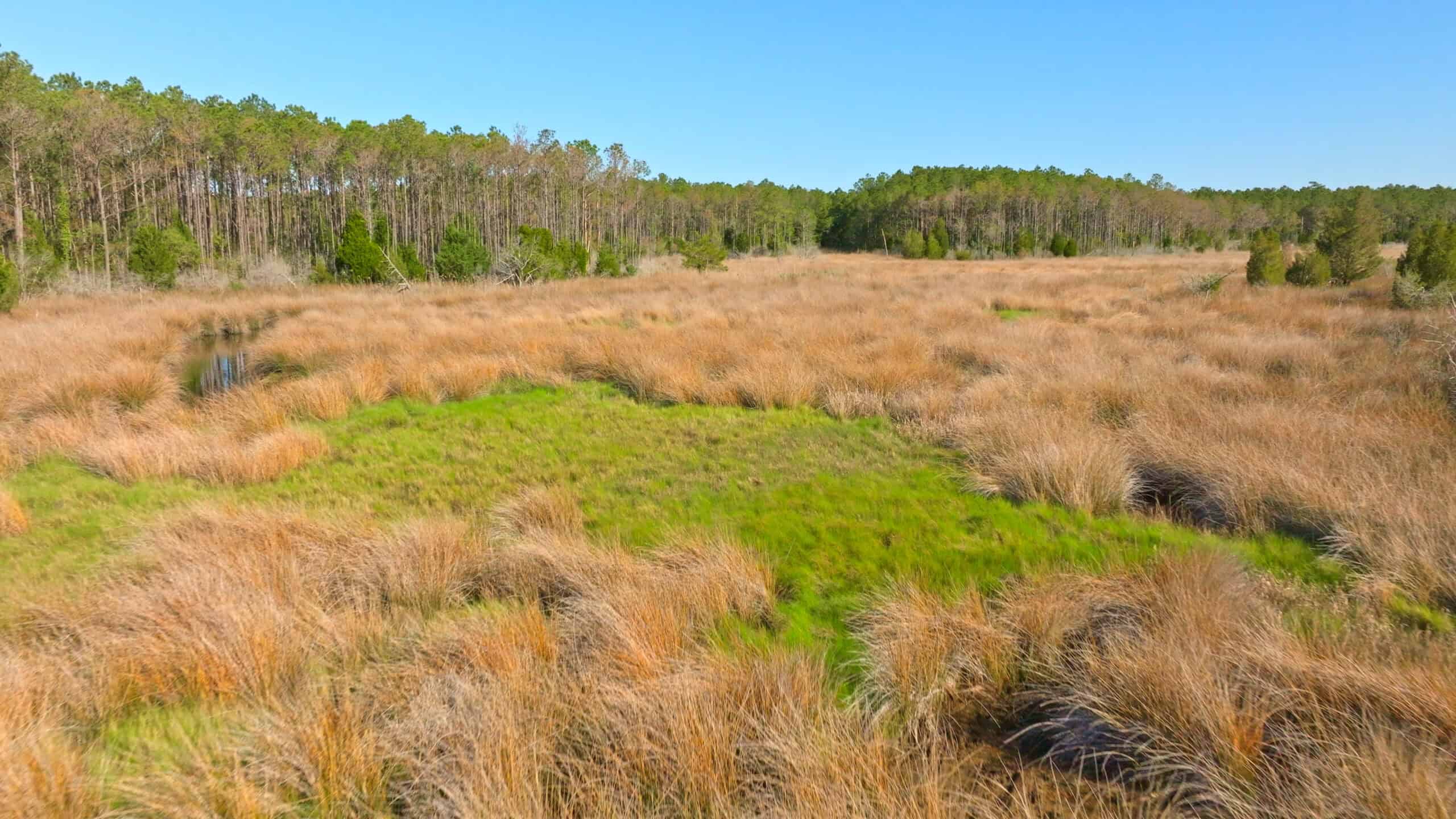 200-AC Hunting & Waterfront Tract in Hyde County, NC