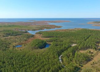 200-AC Hunting & Waterfront Tract in Hyde County, NC