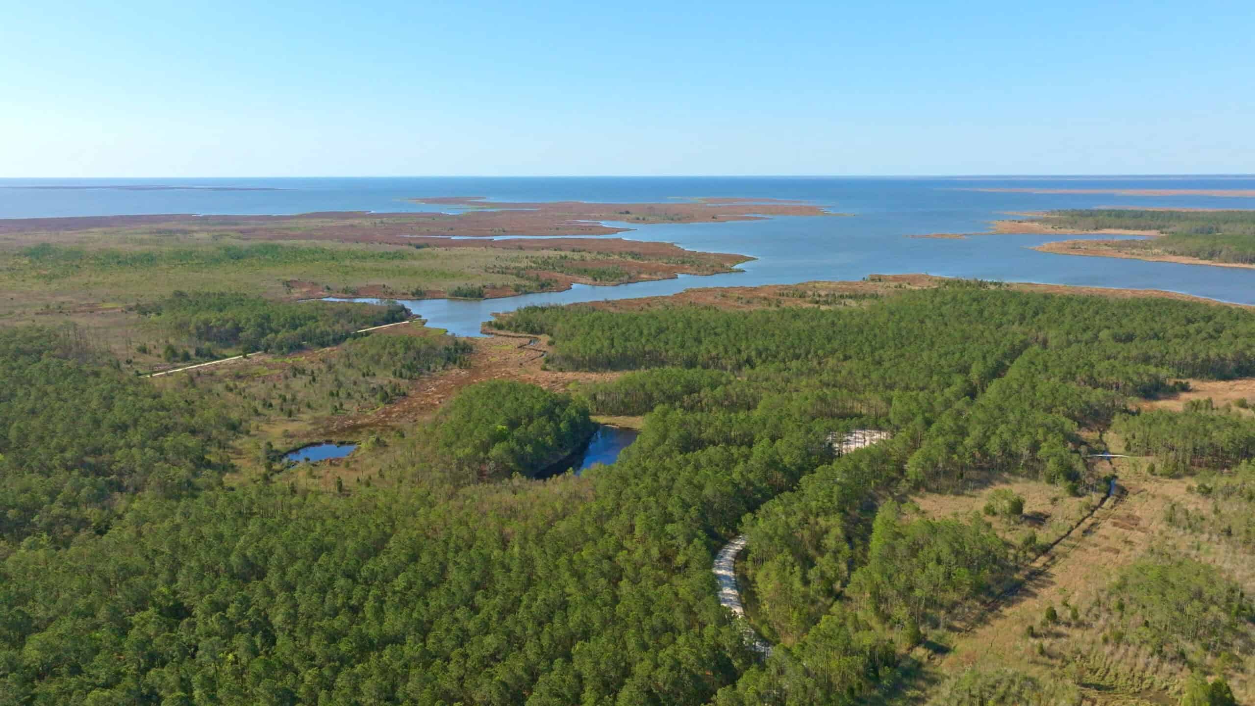 200-AC Hunting & Waterfront Tract in Hyde County, NC