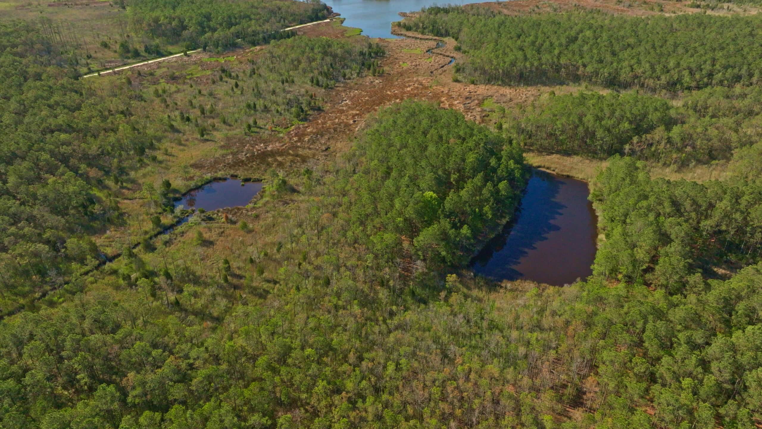 200-AC Hunting & Waterfront Tract in Hyde County, NC