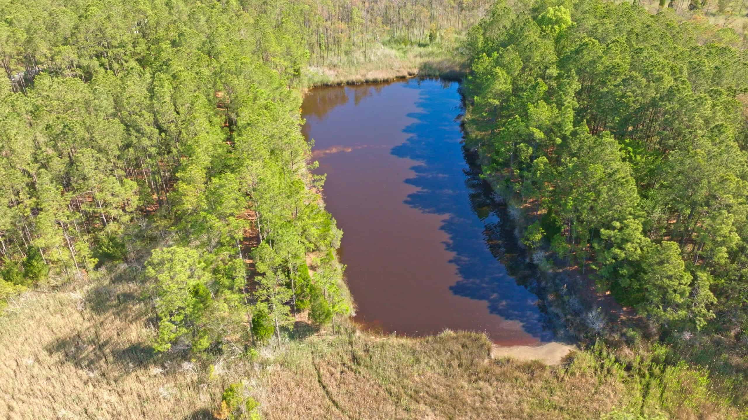 200-AC Hunting & Waterfront Tract in Hyde County, NC