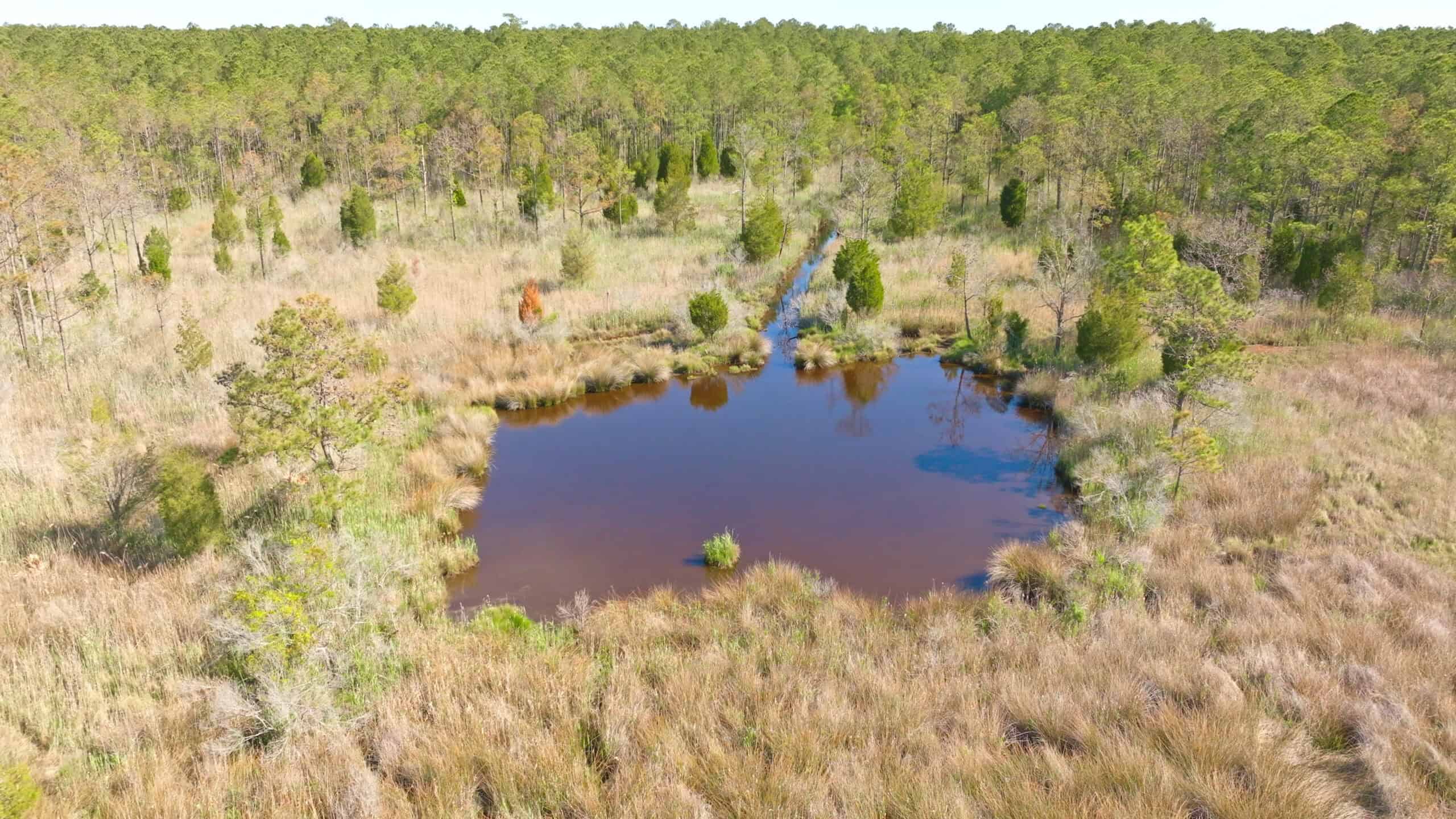 200-AC Hunting & Waterfront Tract in Hyde County, NC