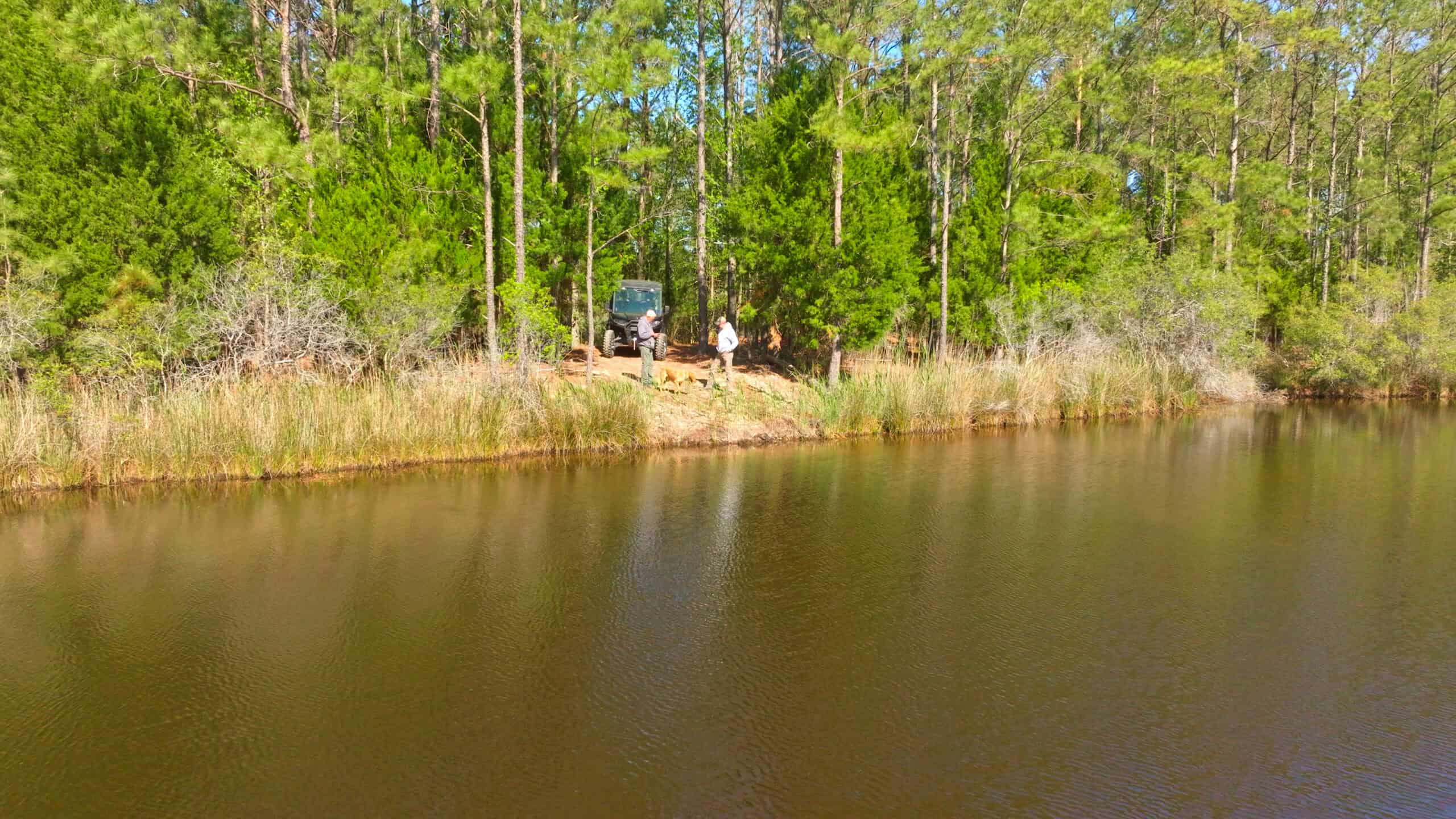 200-AC Hunting & Waterfront Tract in Hyde County, NC