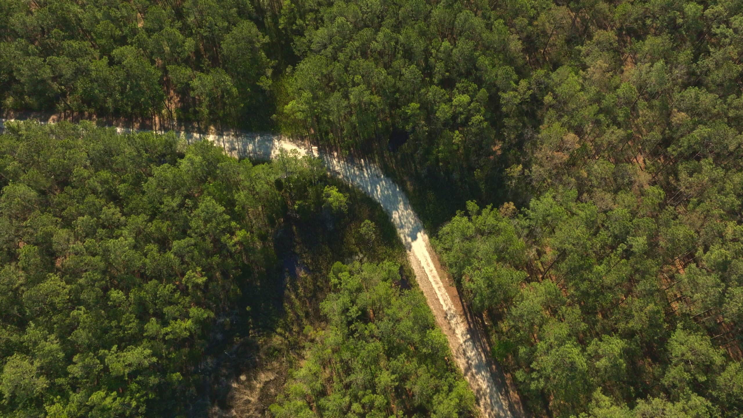 200-AC Hunting & Waterfront Tract in Hyde County, NC