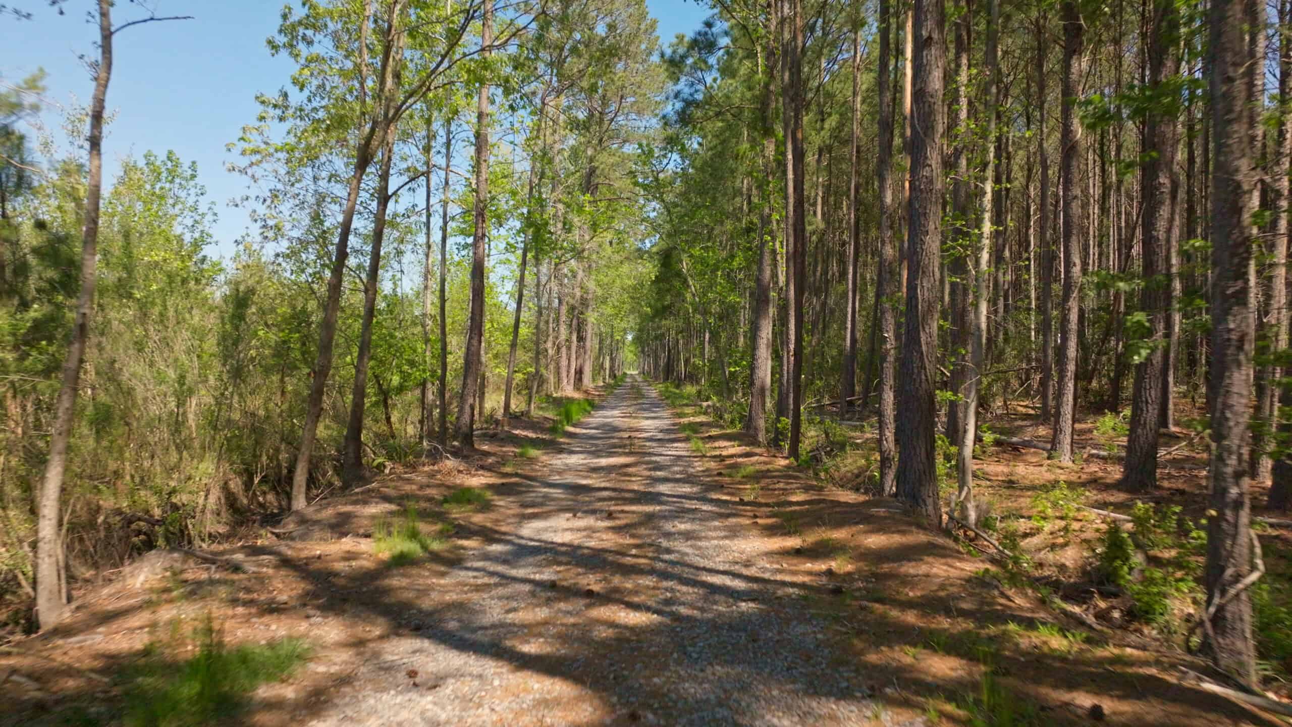 200-AC Hunting & Waterfront Tract in Hyde County, NC