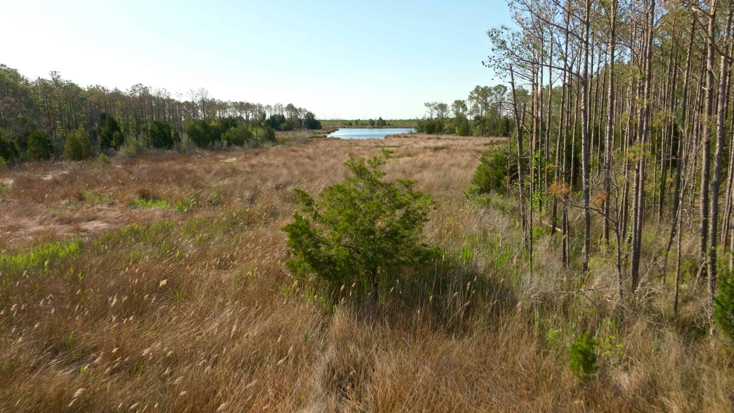 200-AC Hunting & Waterfront Tract in Hyde County, NC